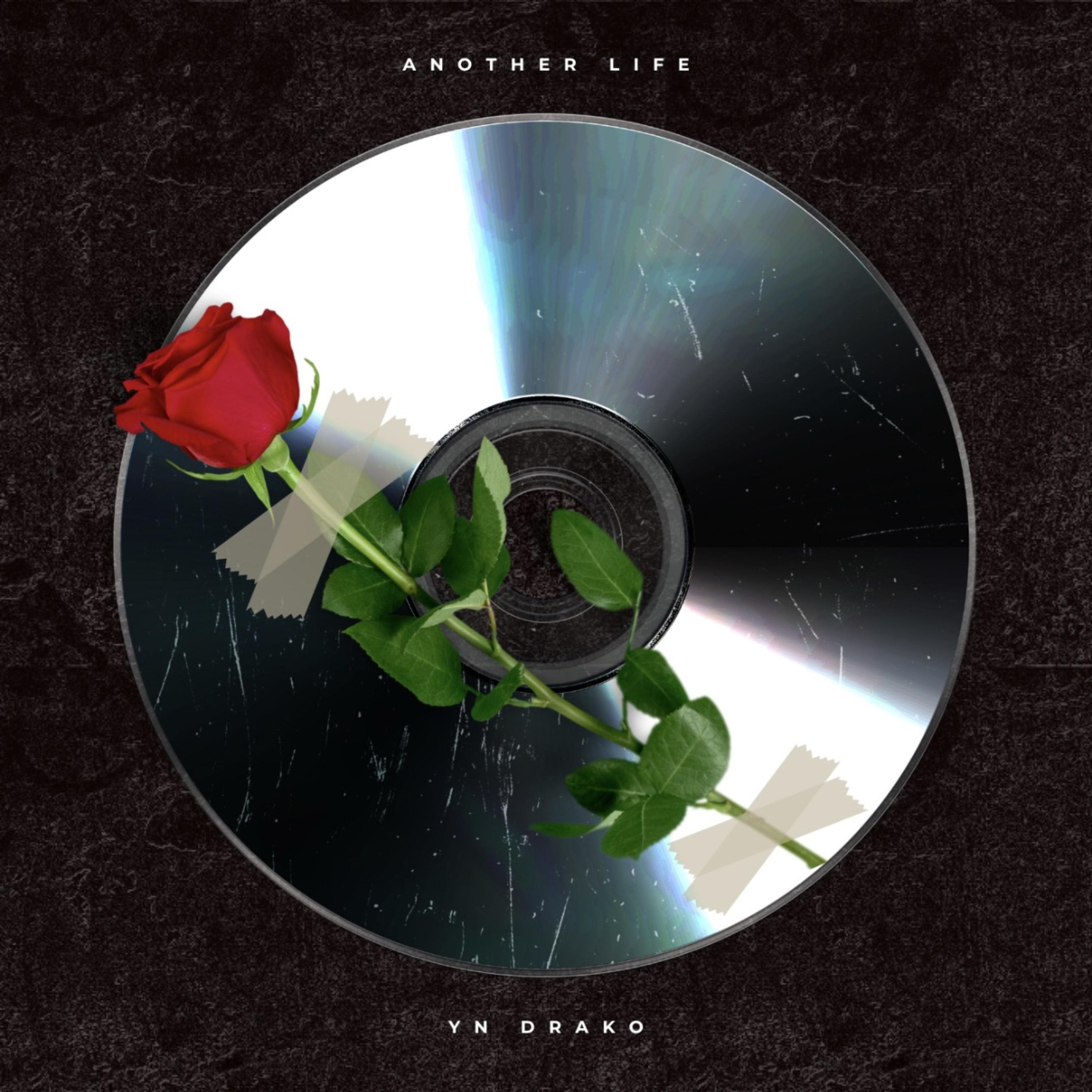 Another Life artwork