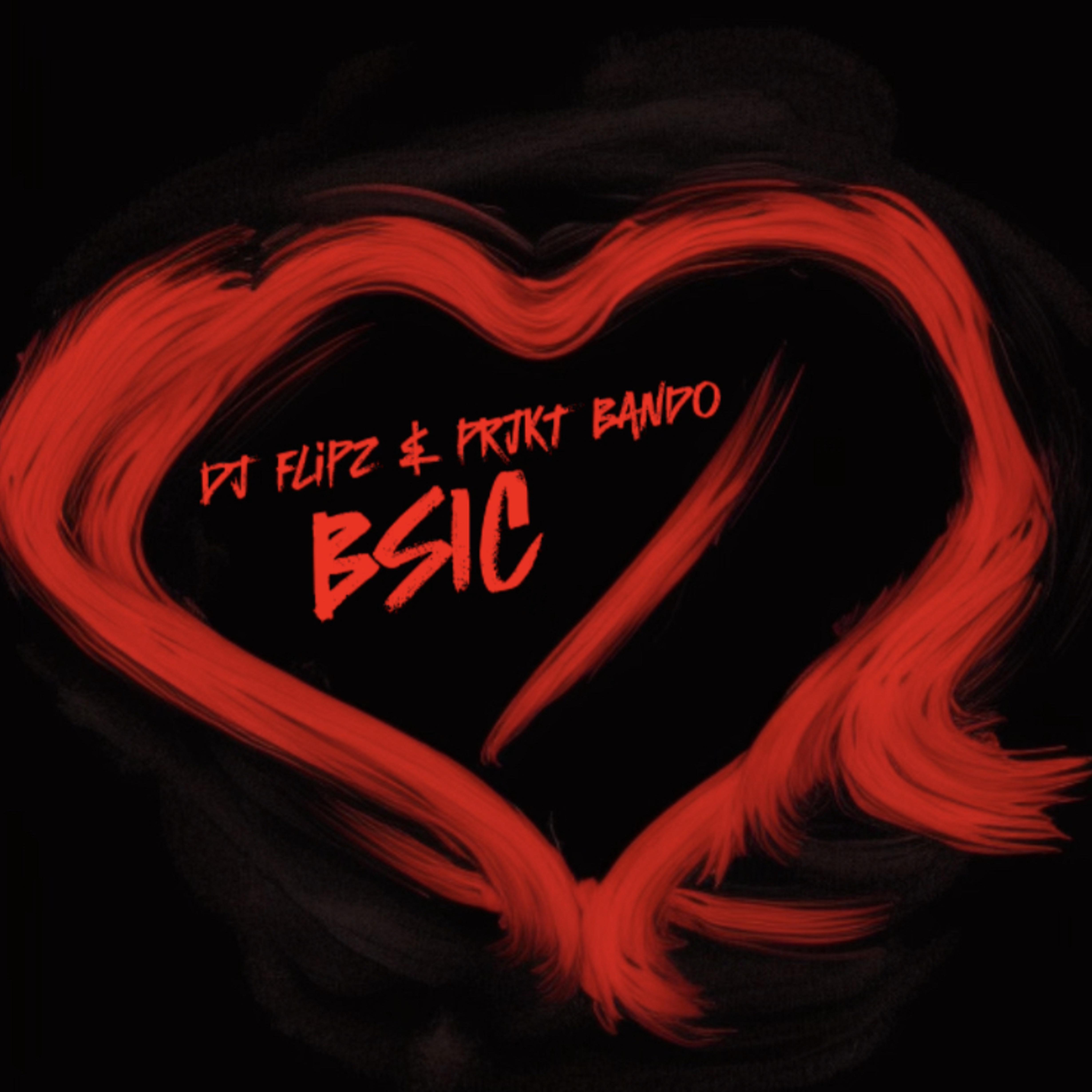 BSIC artwork