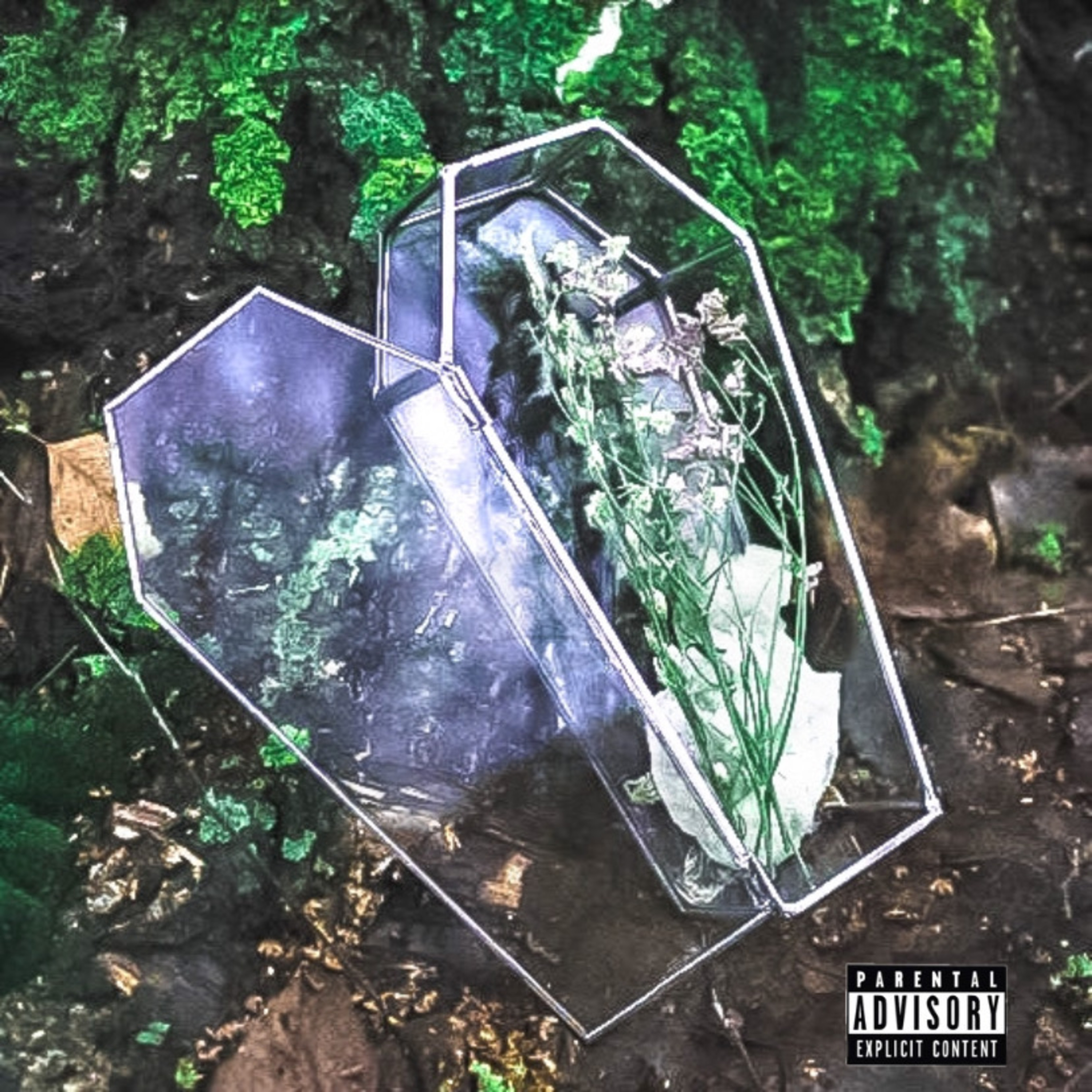 GLASS COFFIN artwork