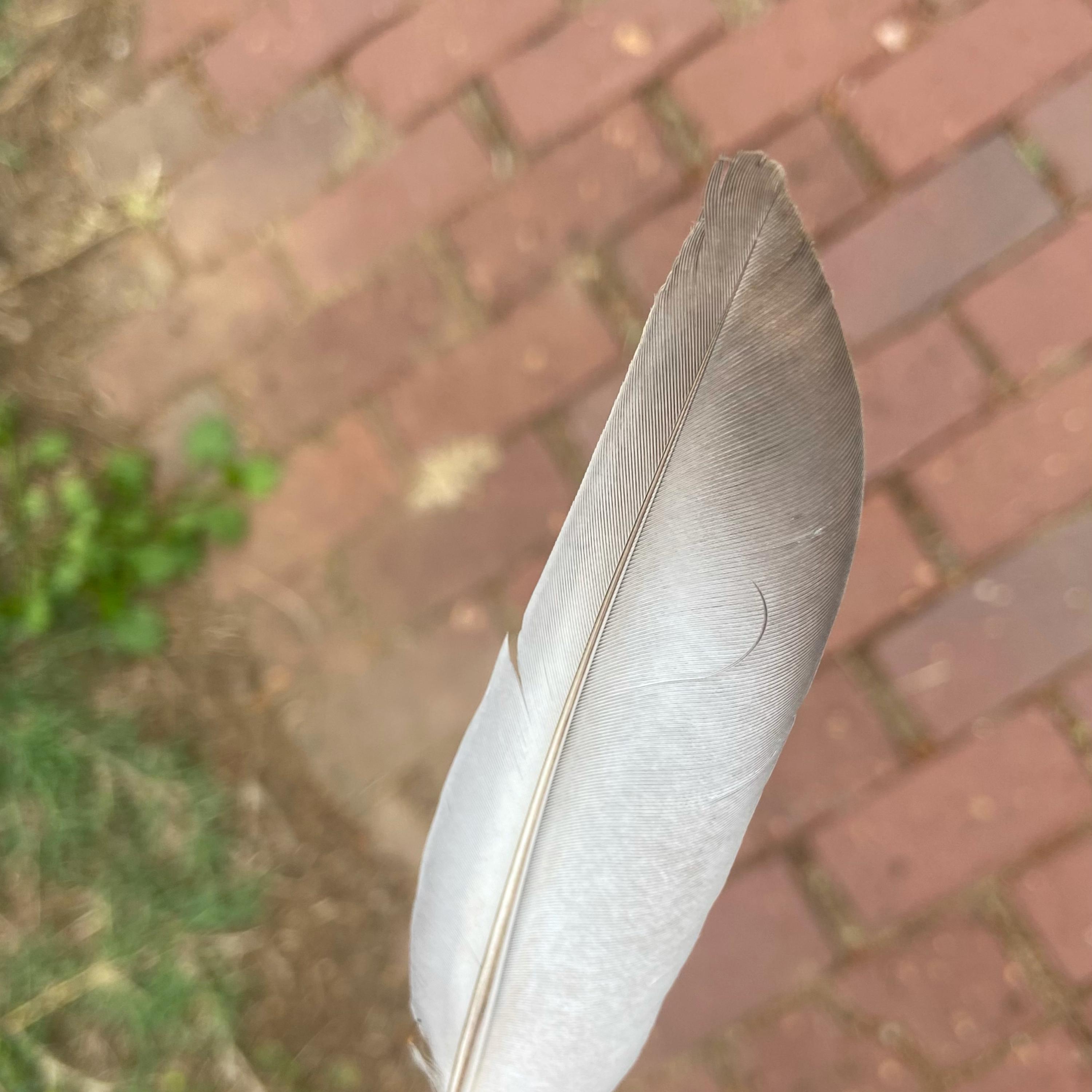 I Just Wanna Vibe artwork