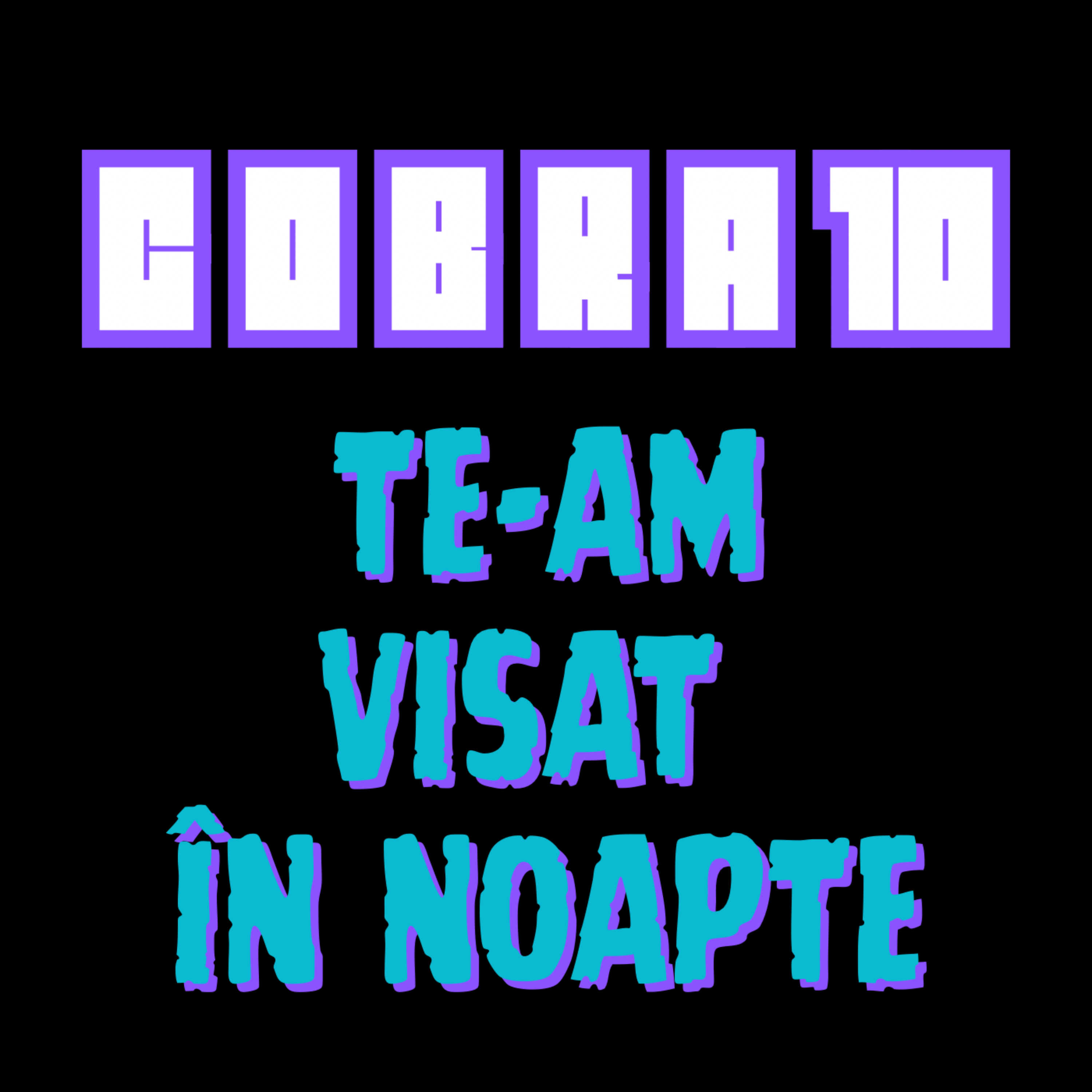 Te-am visat în noapte artwork
