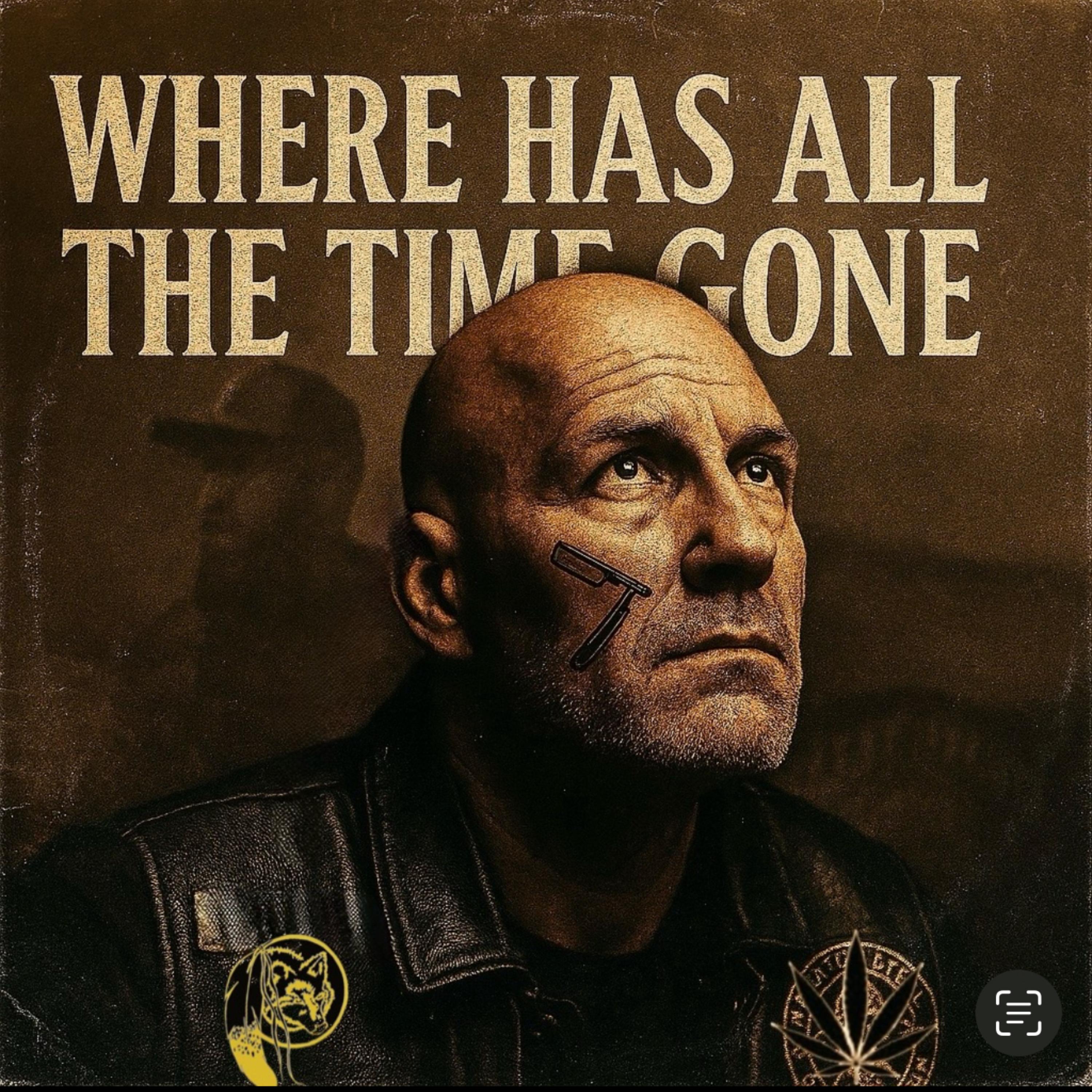 Where Has All The Time Gone artwork