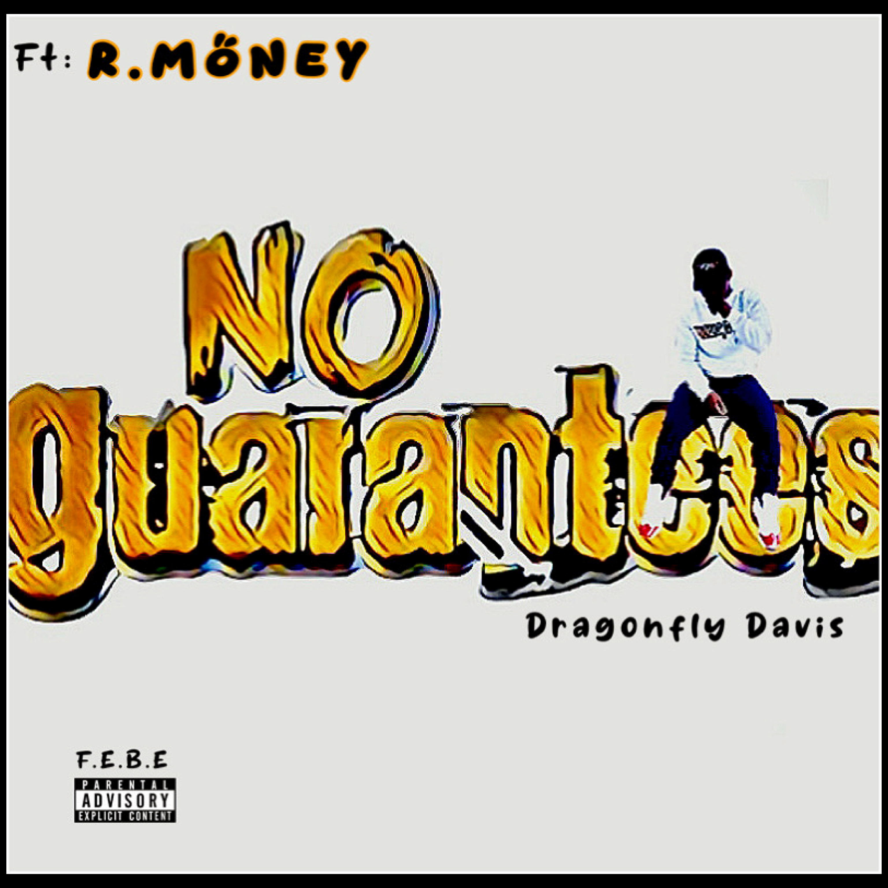 No Guarantees artwork