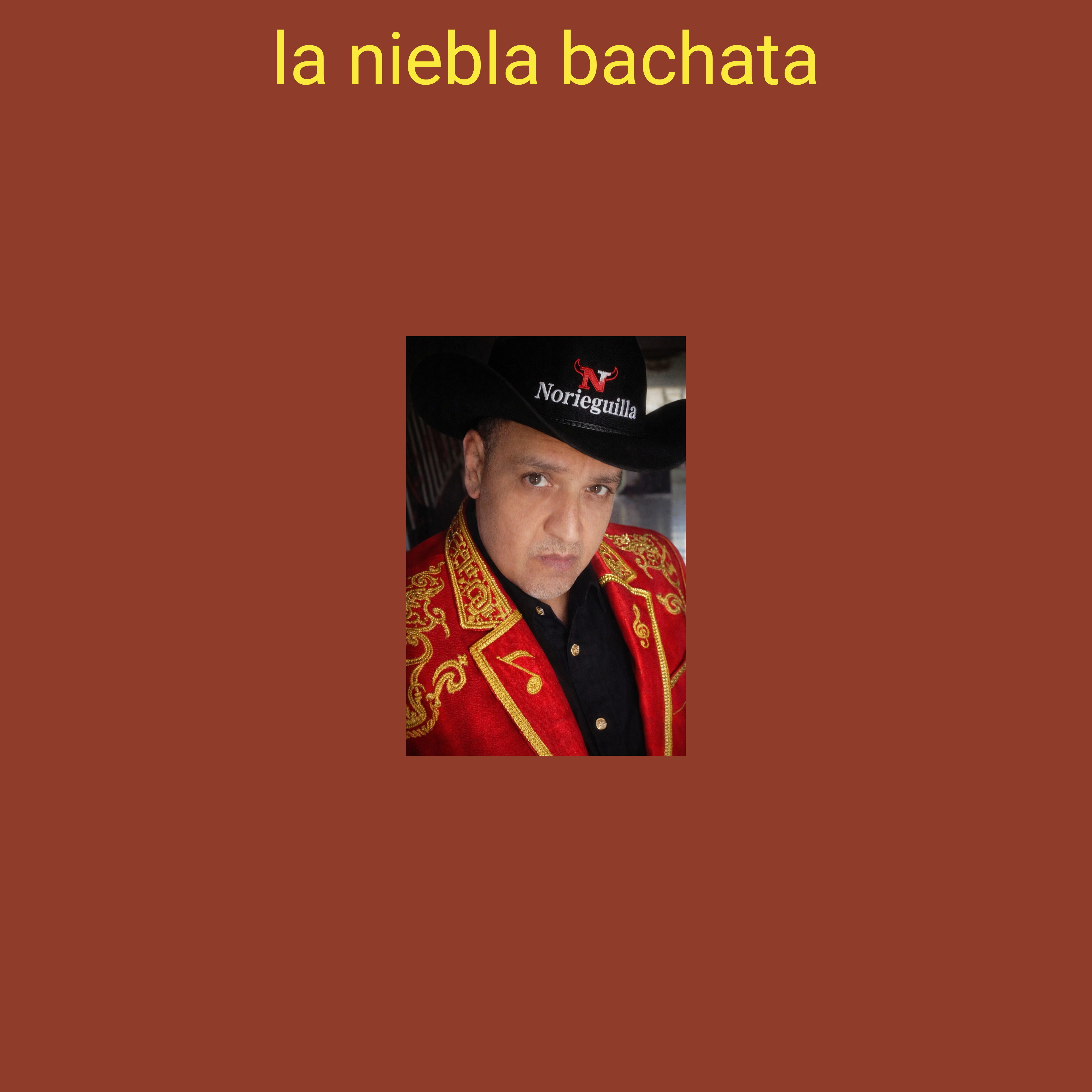 bachatalaniebla artwork