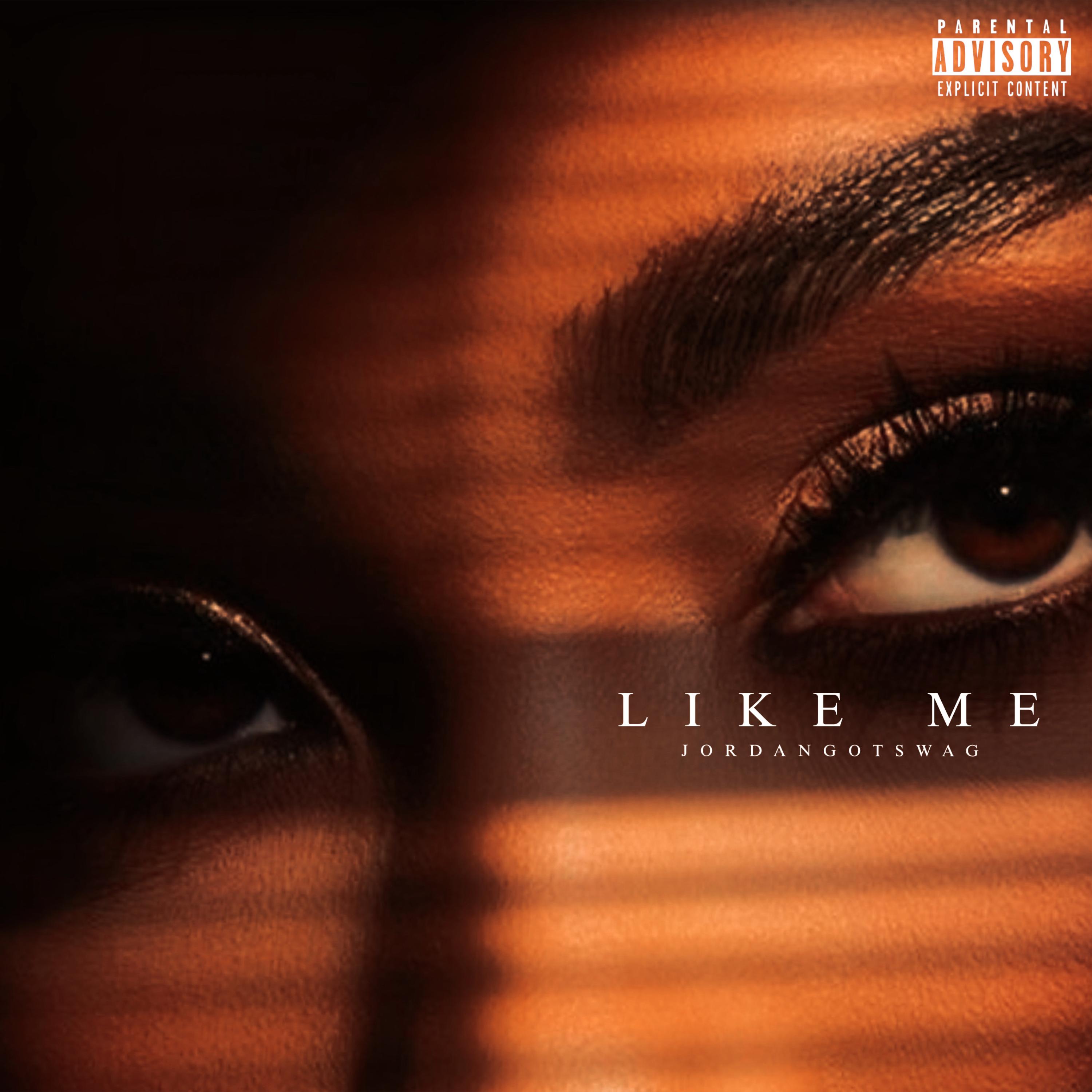 Like Me artwork