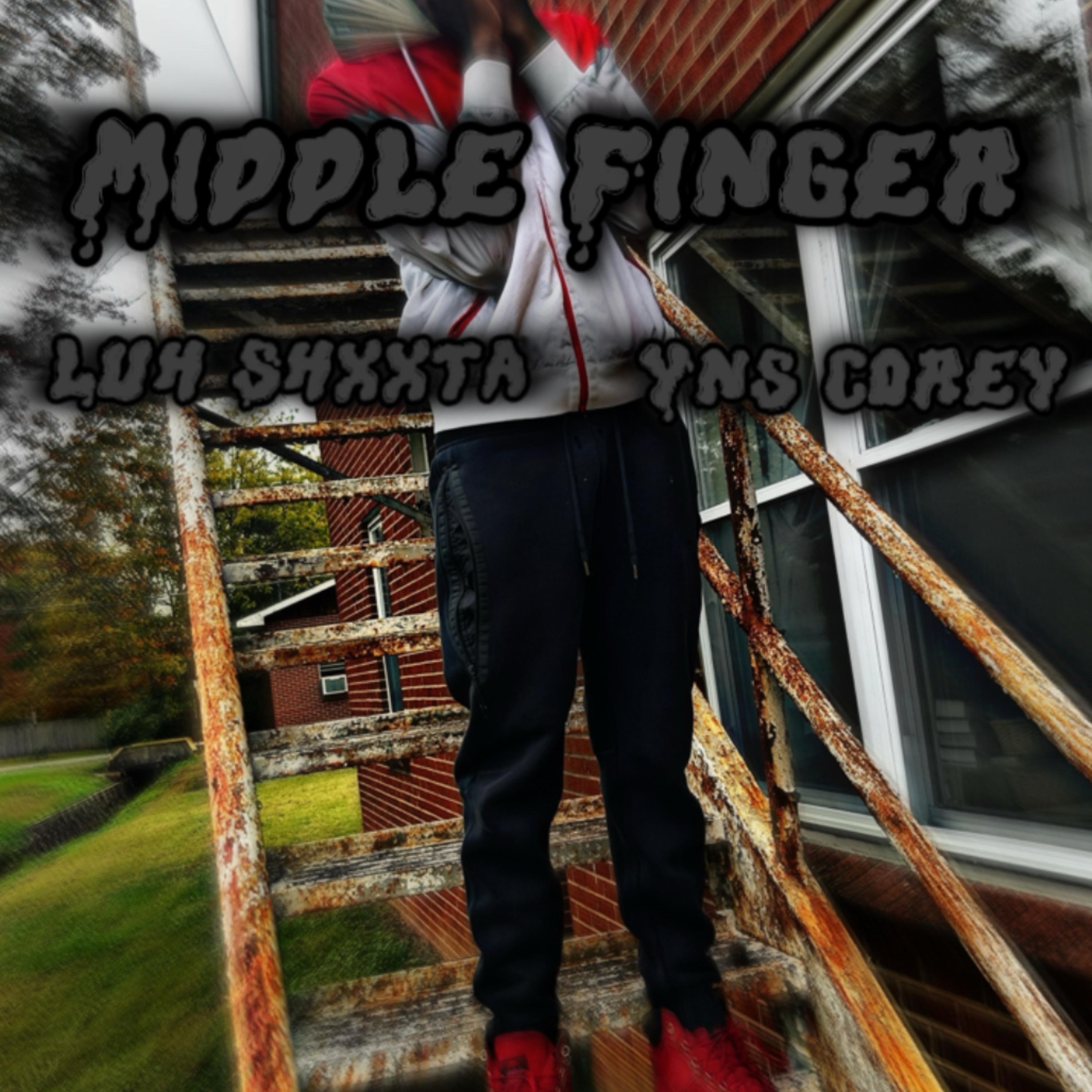 Middle Finger artwork