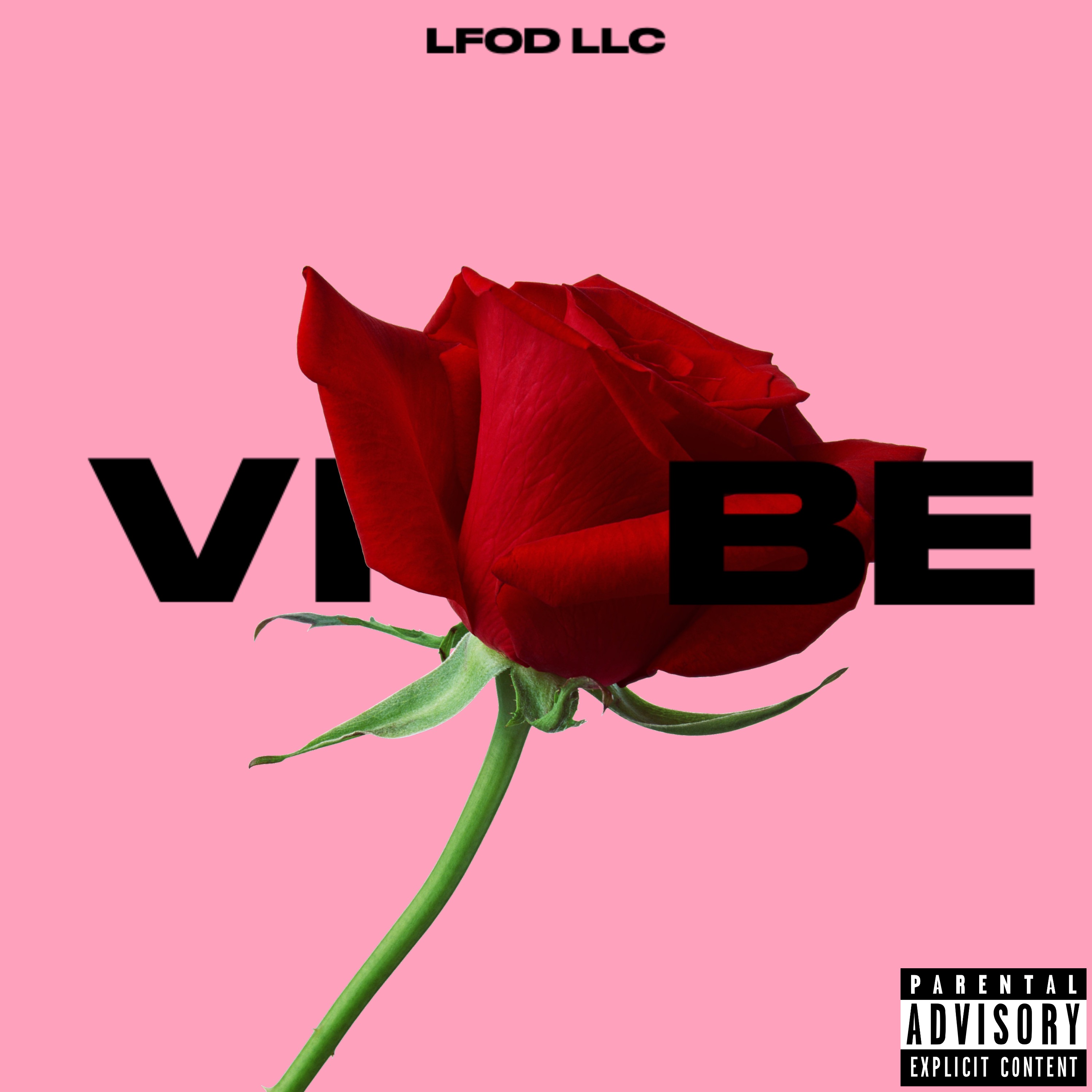 Vibe artwork