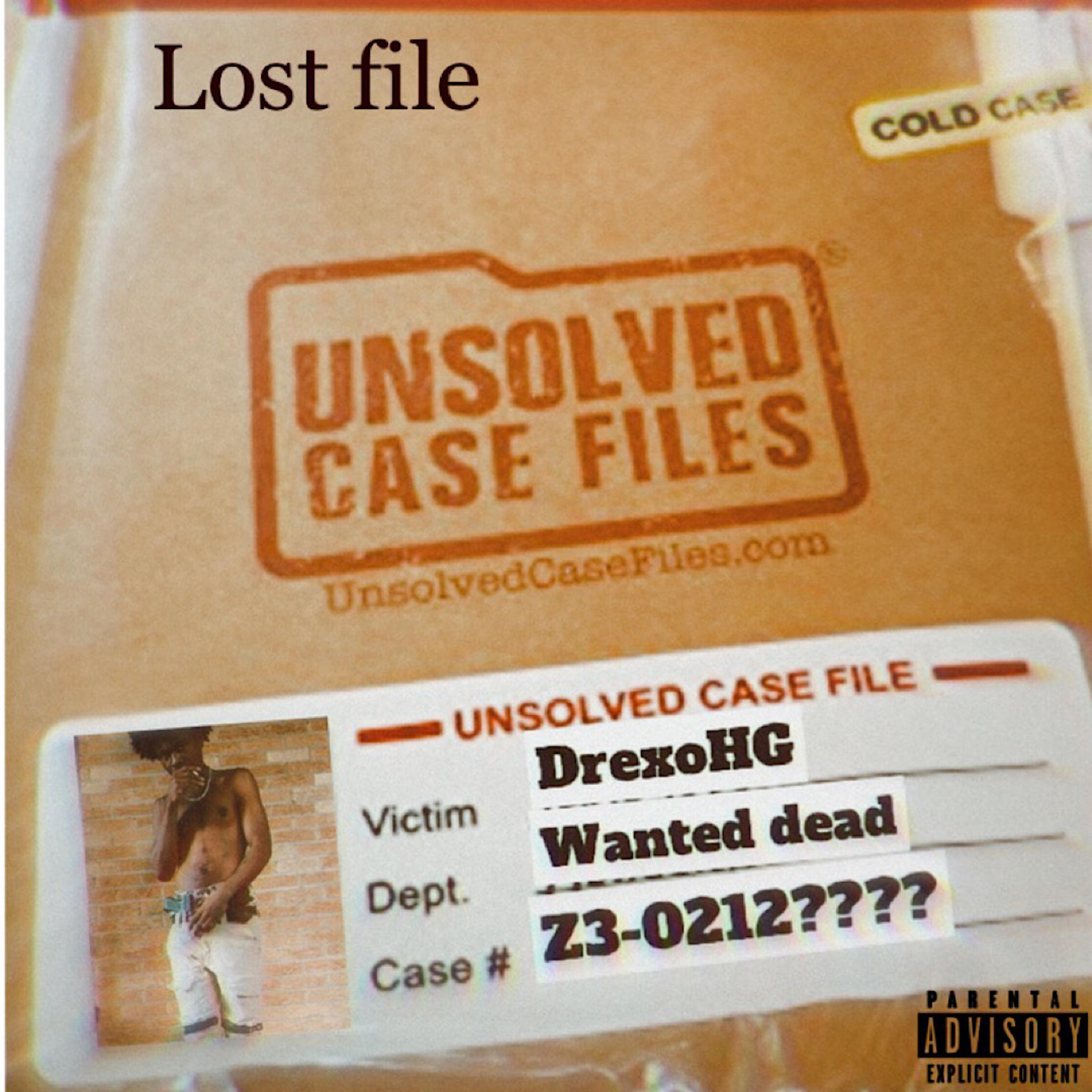 Lost File artwork