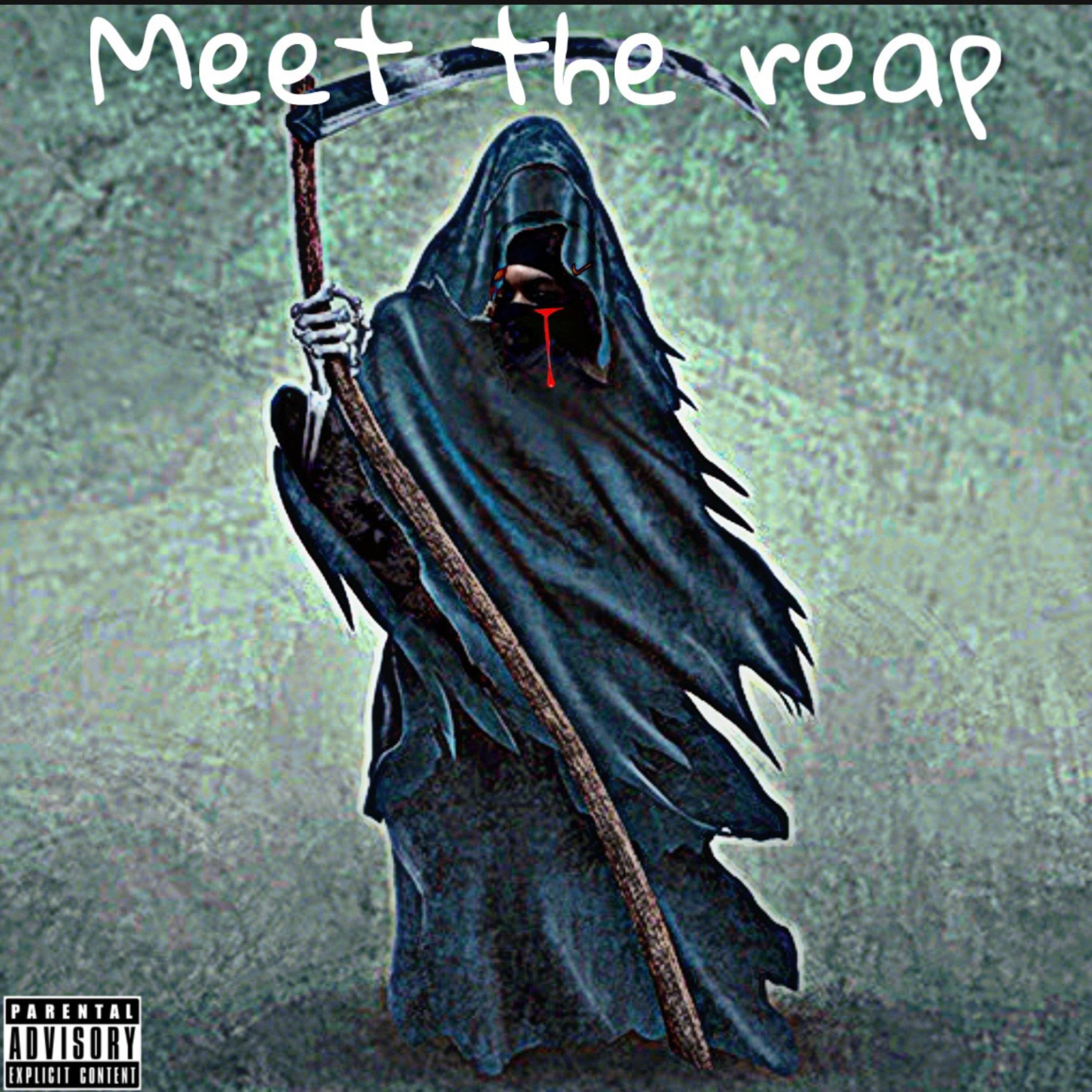 Meet The Reap artwork
