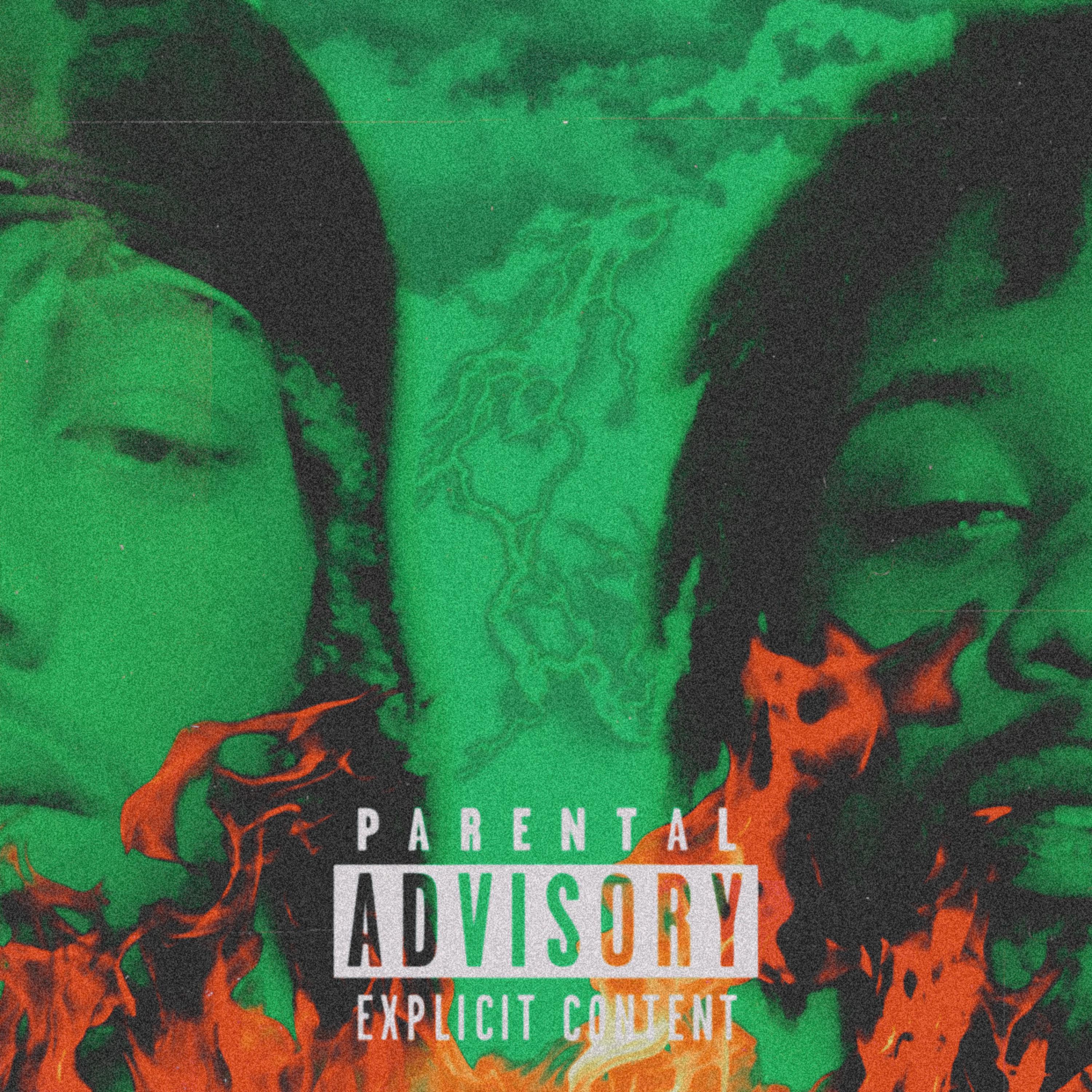 7.2.7 LINGO artwork