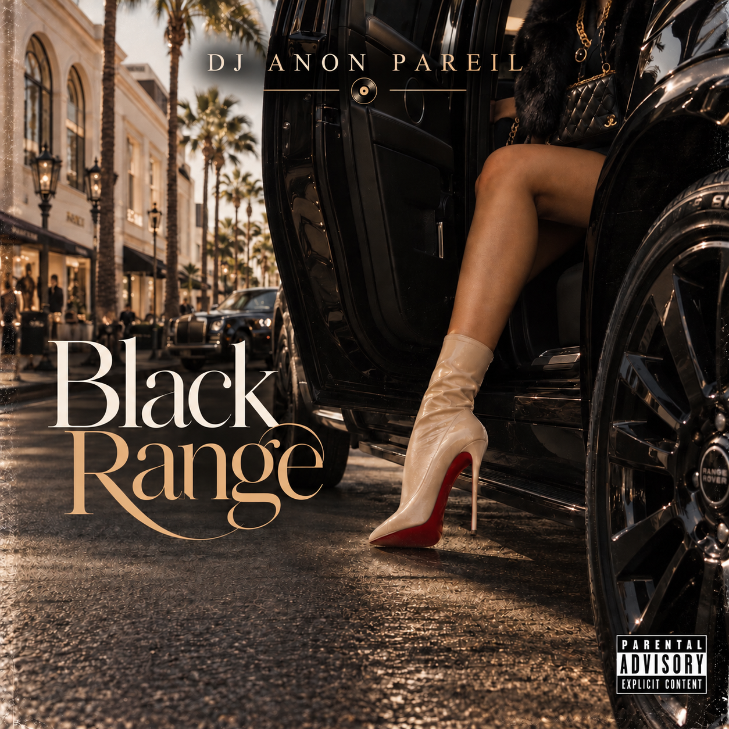 Black Range by DJ ANON PAREIL cover art