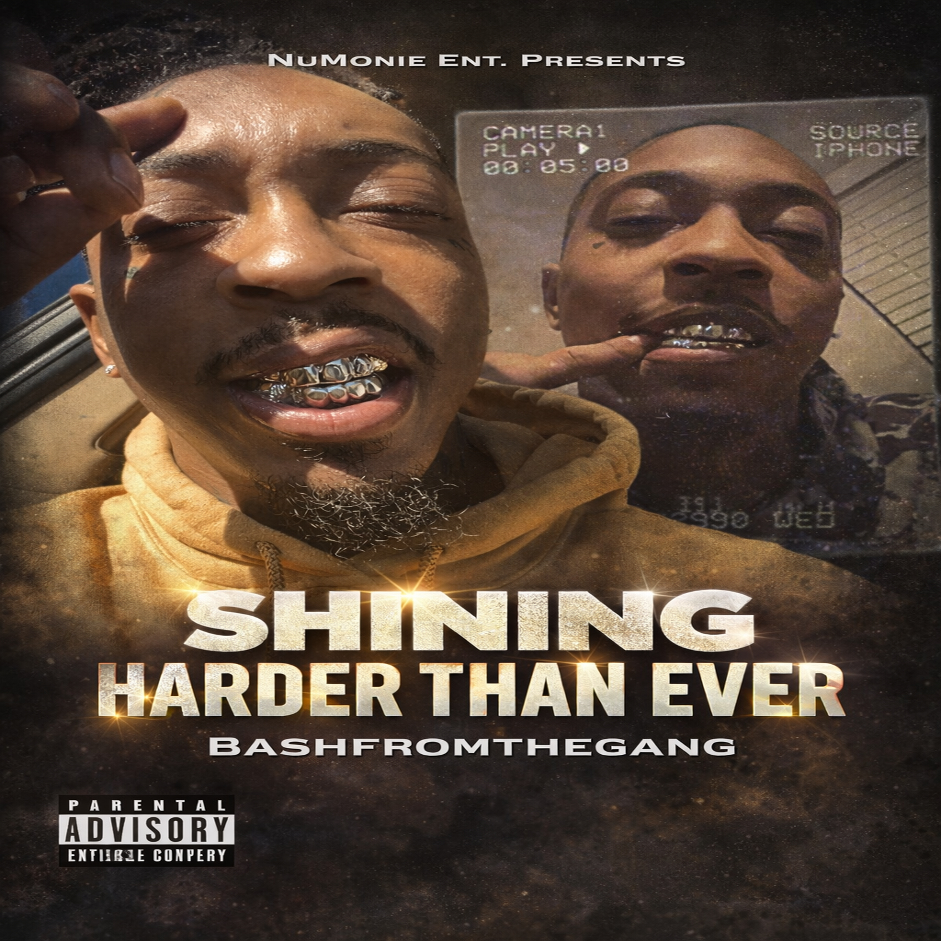 Shining Harder Than Ever artwork
