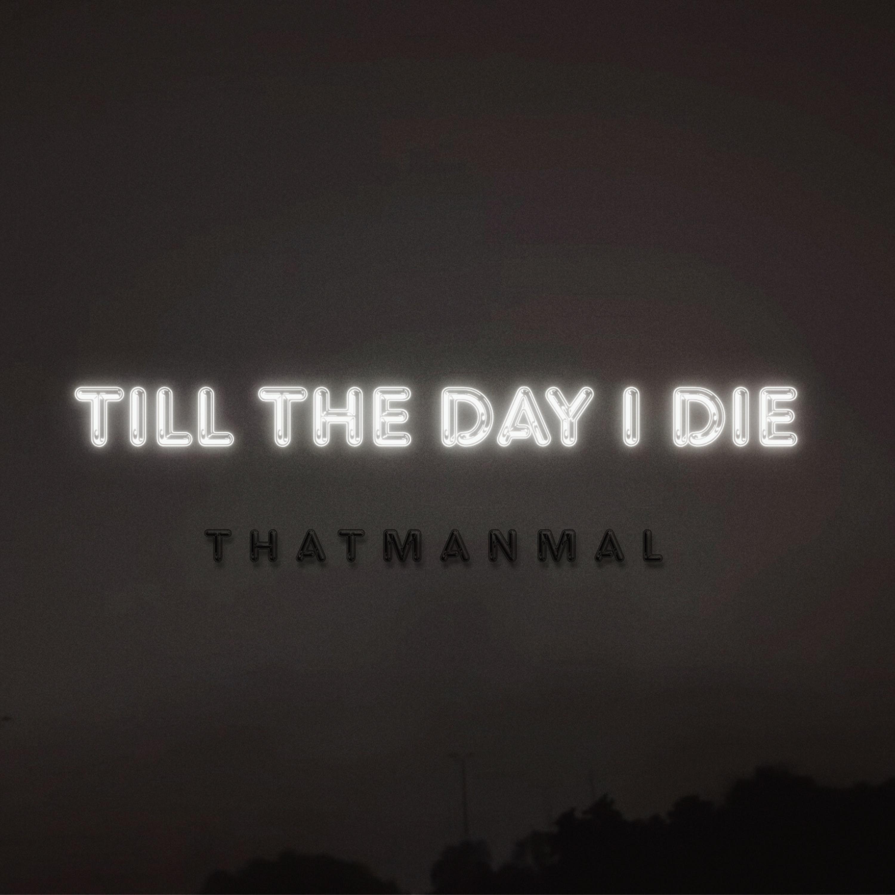Till The Day I Die artwork