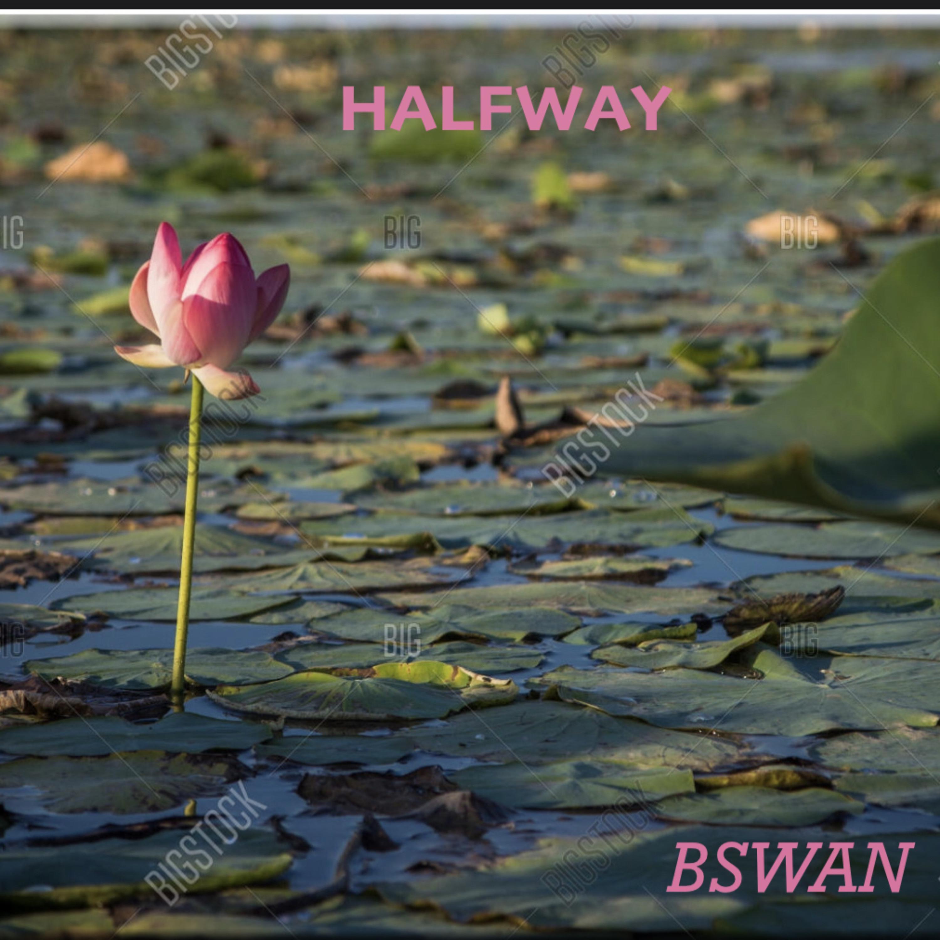 HalfWay artwork
