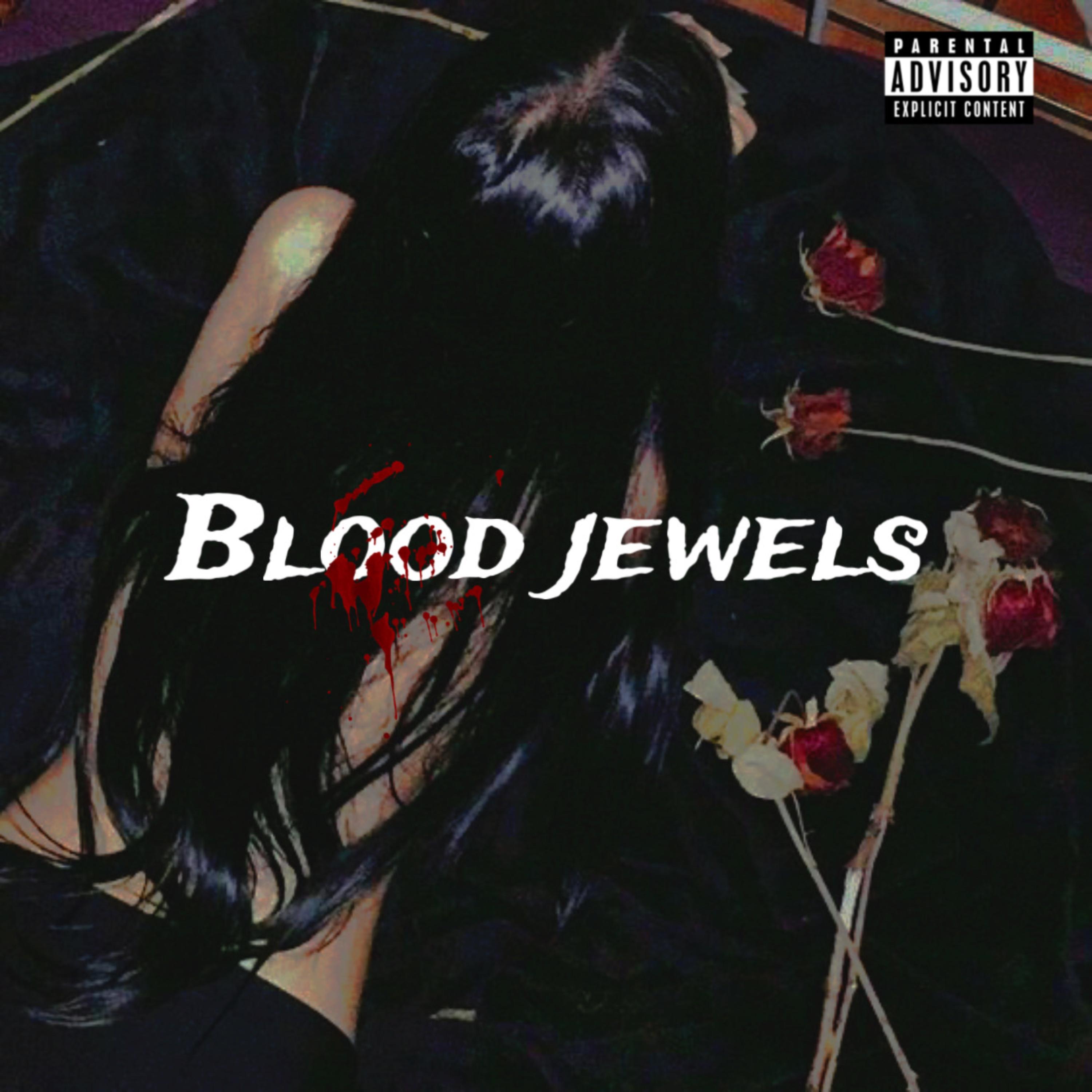 Blood Jewels by Ksubikid cover art