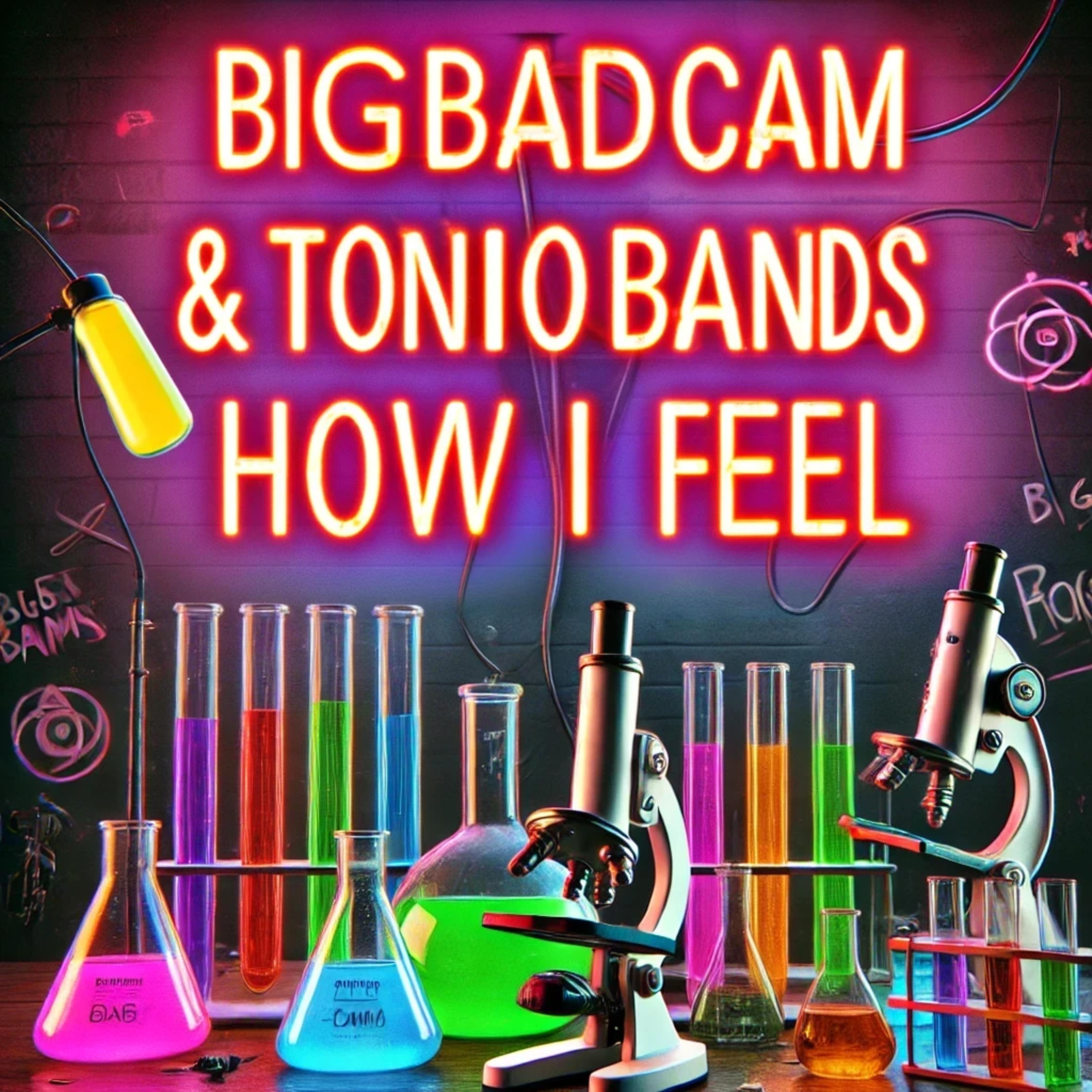 HOW I FEEL artwork