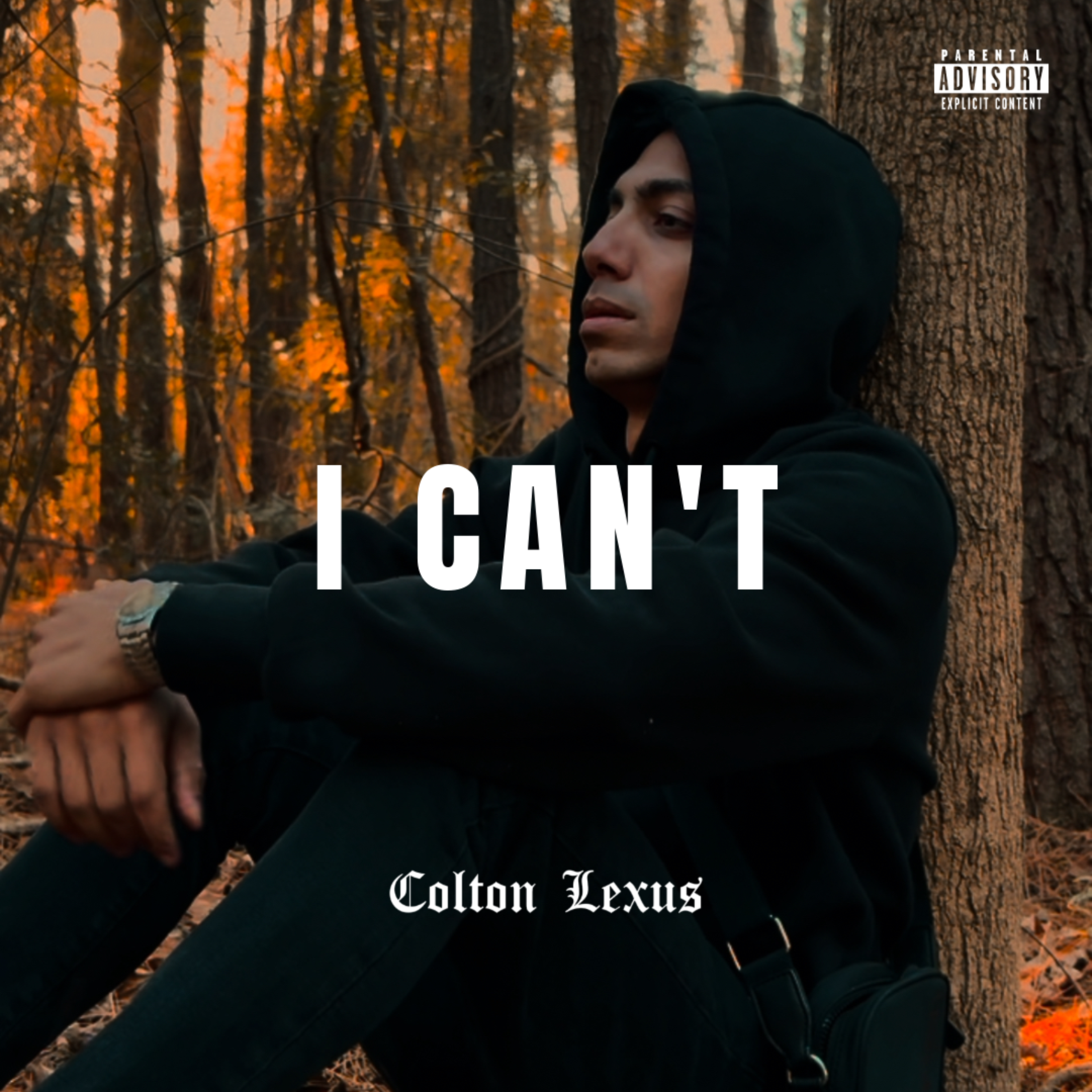 I CAN’T artwork