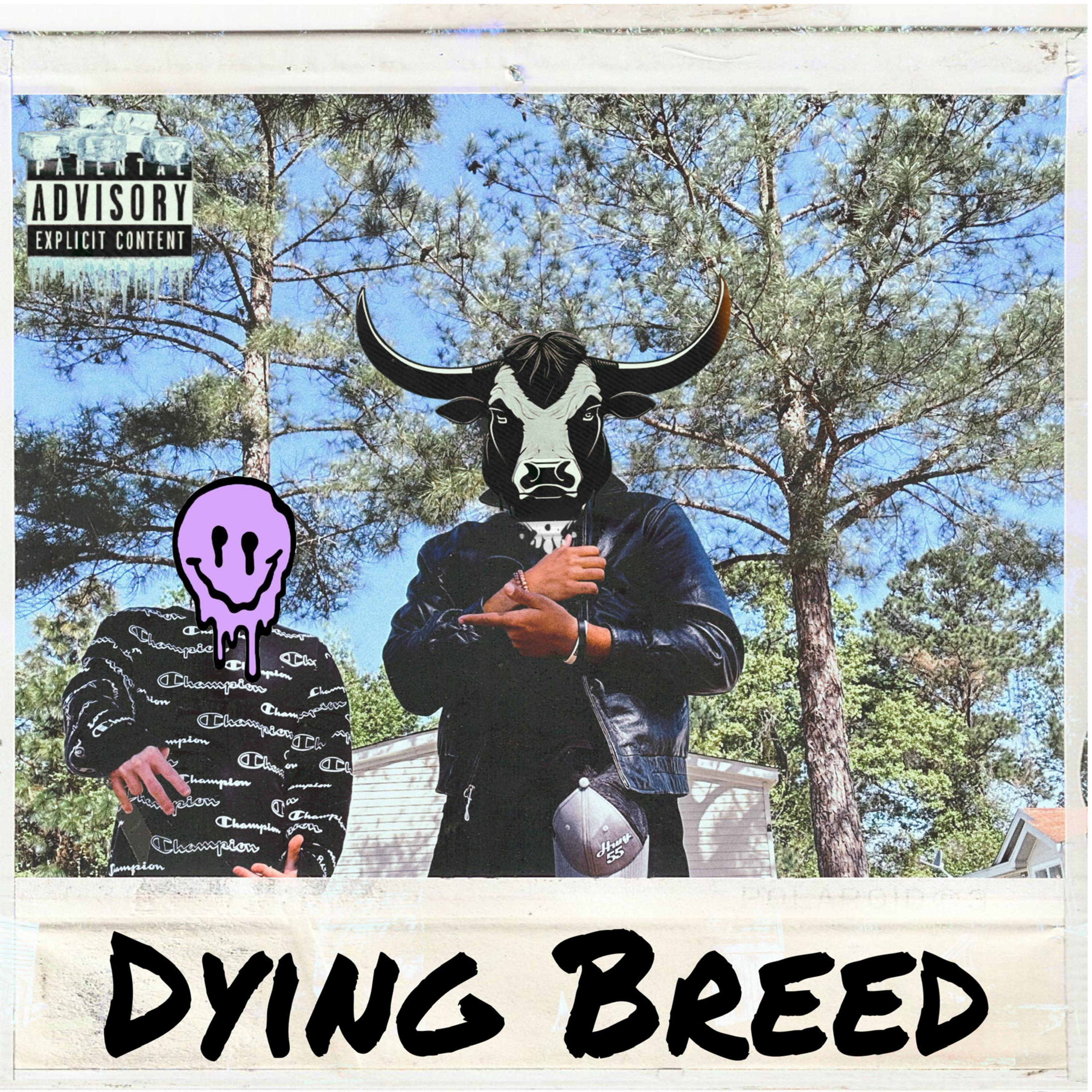 PurpBull artwork