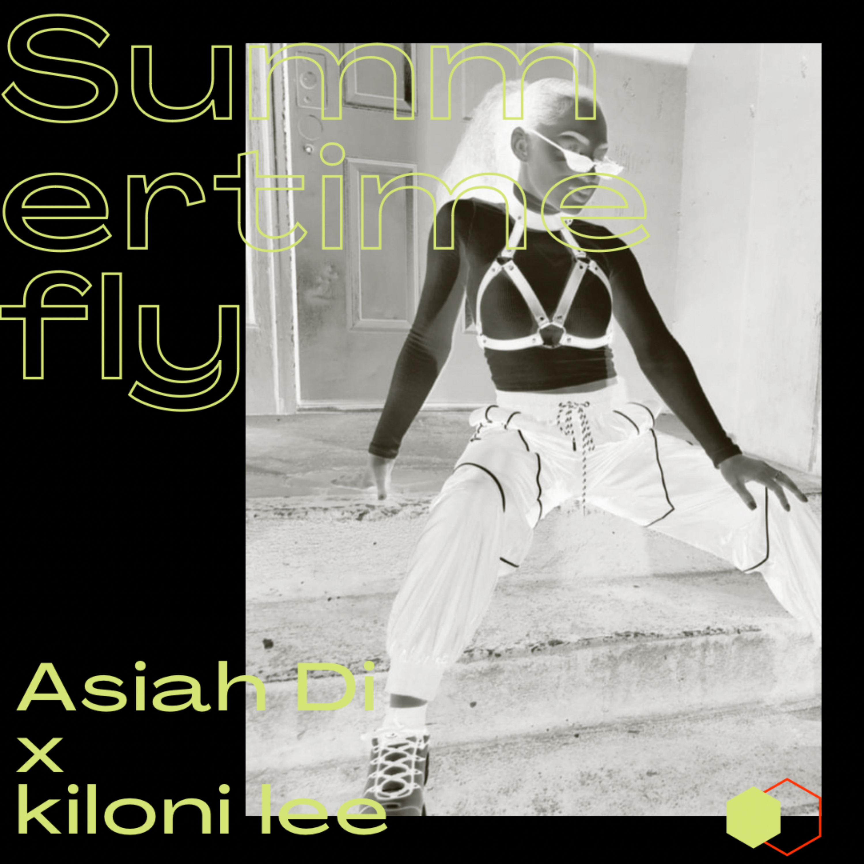 Summertime Fly (S4 Remix) by Asiah Dio cover art