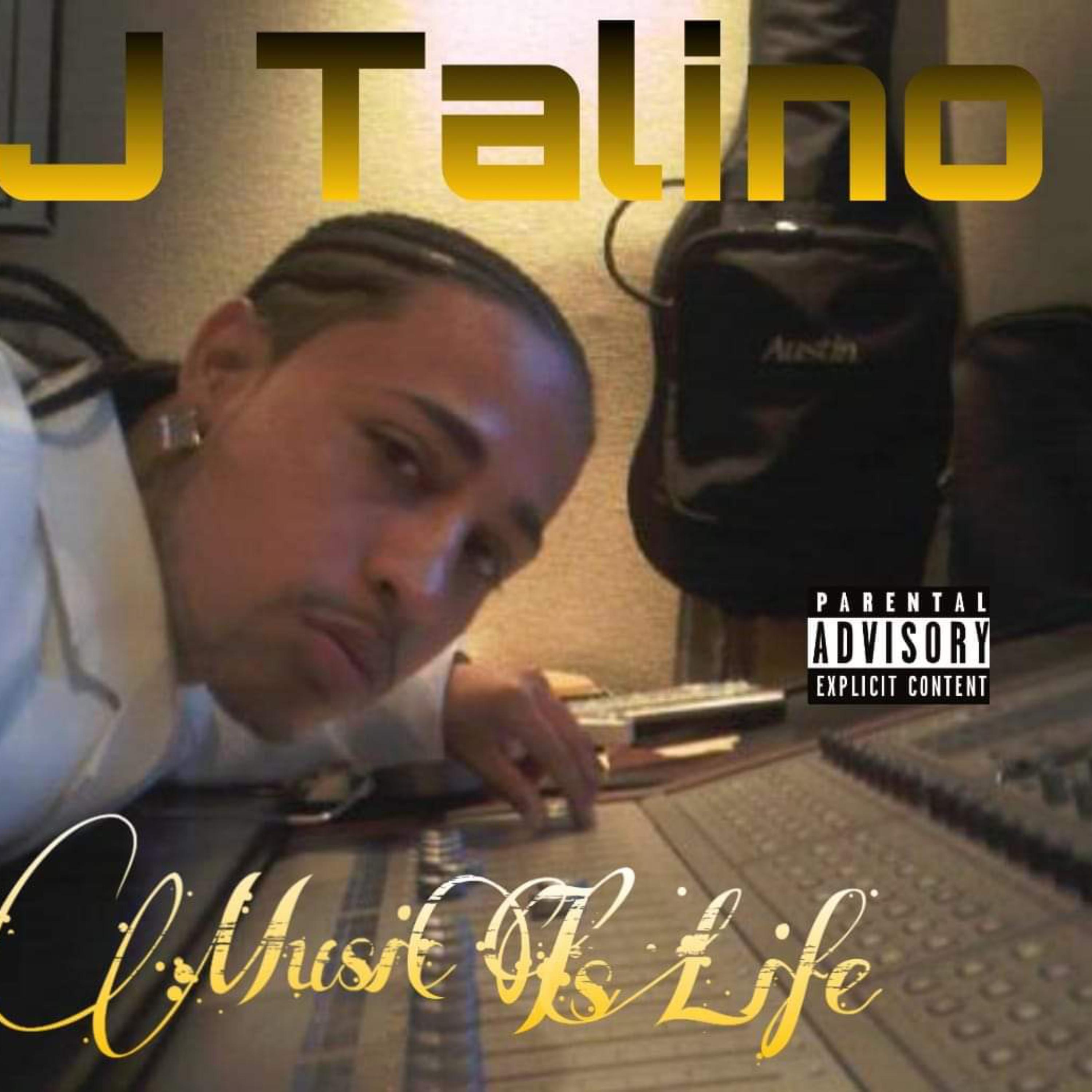 Music is Life artwork