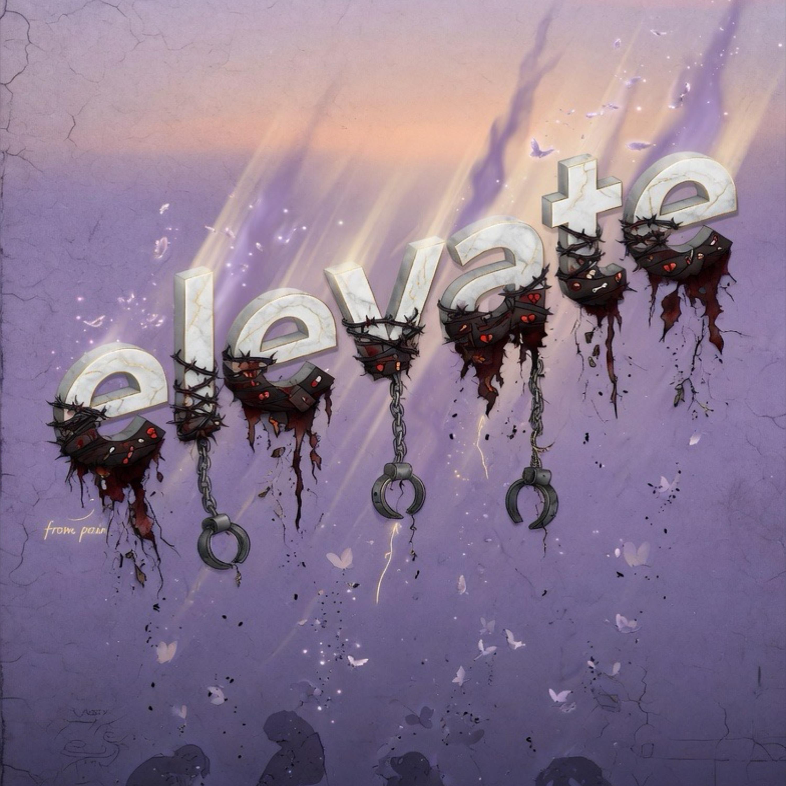 Elevate artwork
