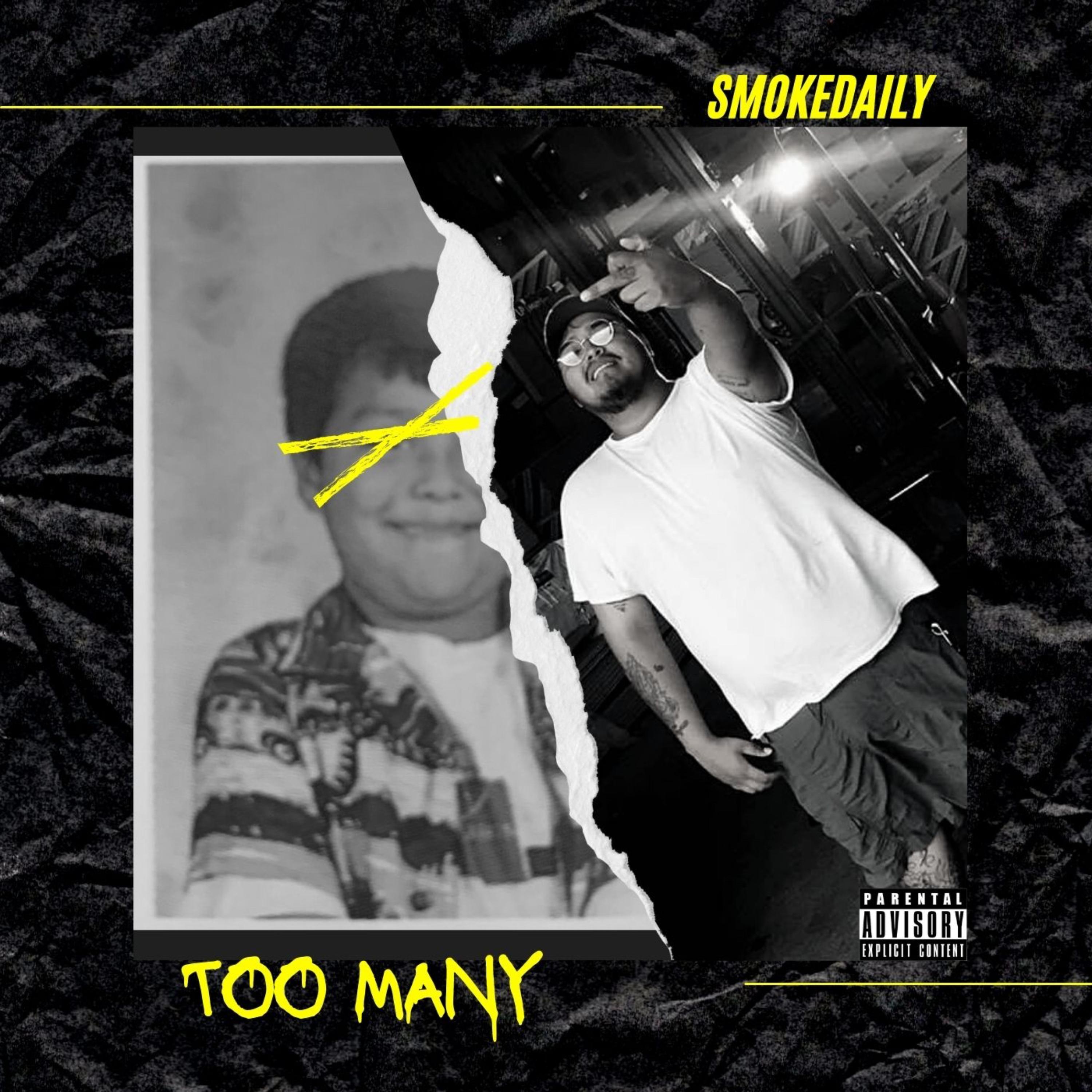 Too Many by Smokedaily cover art