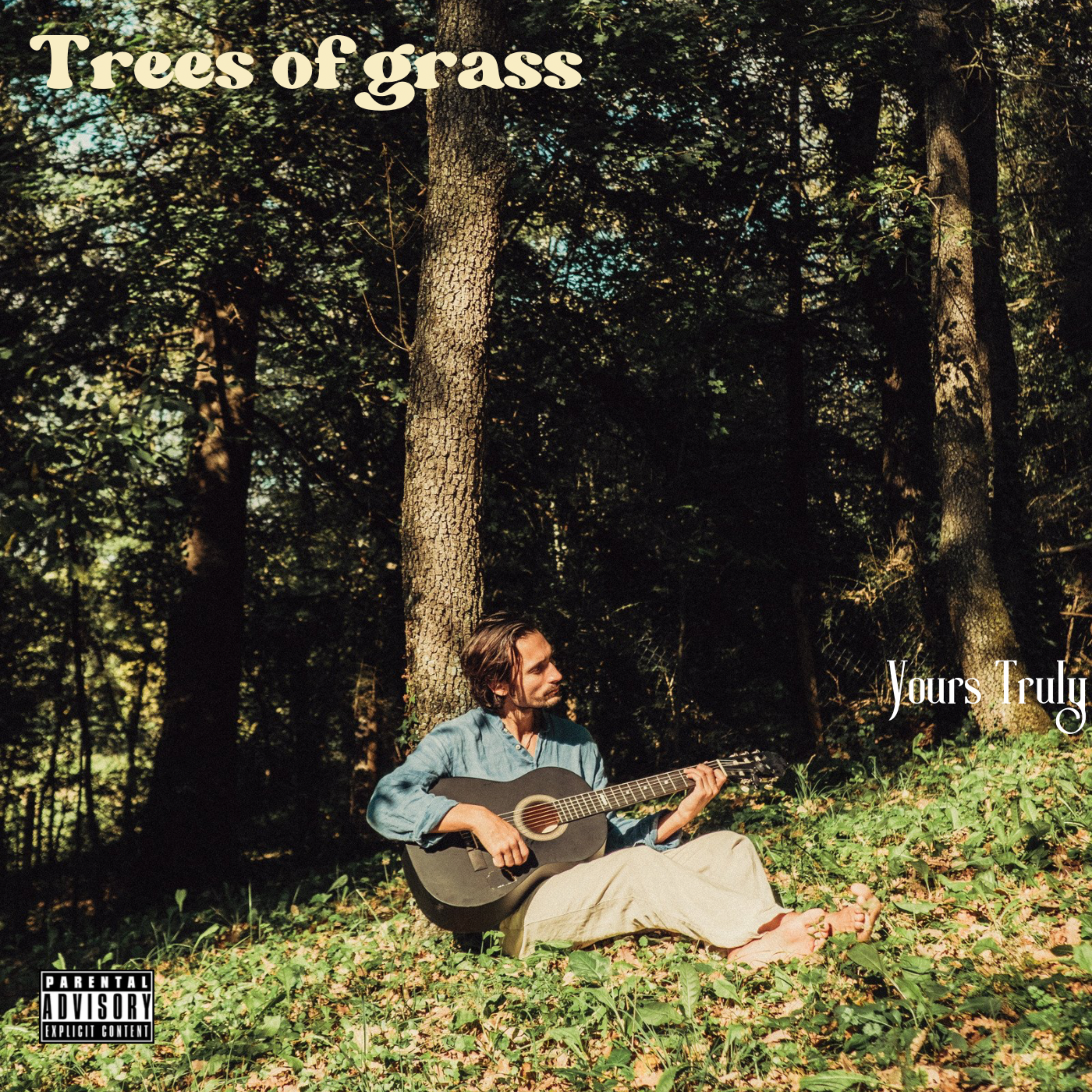 Trees of grass artwork