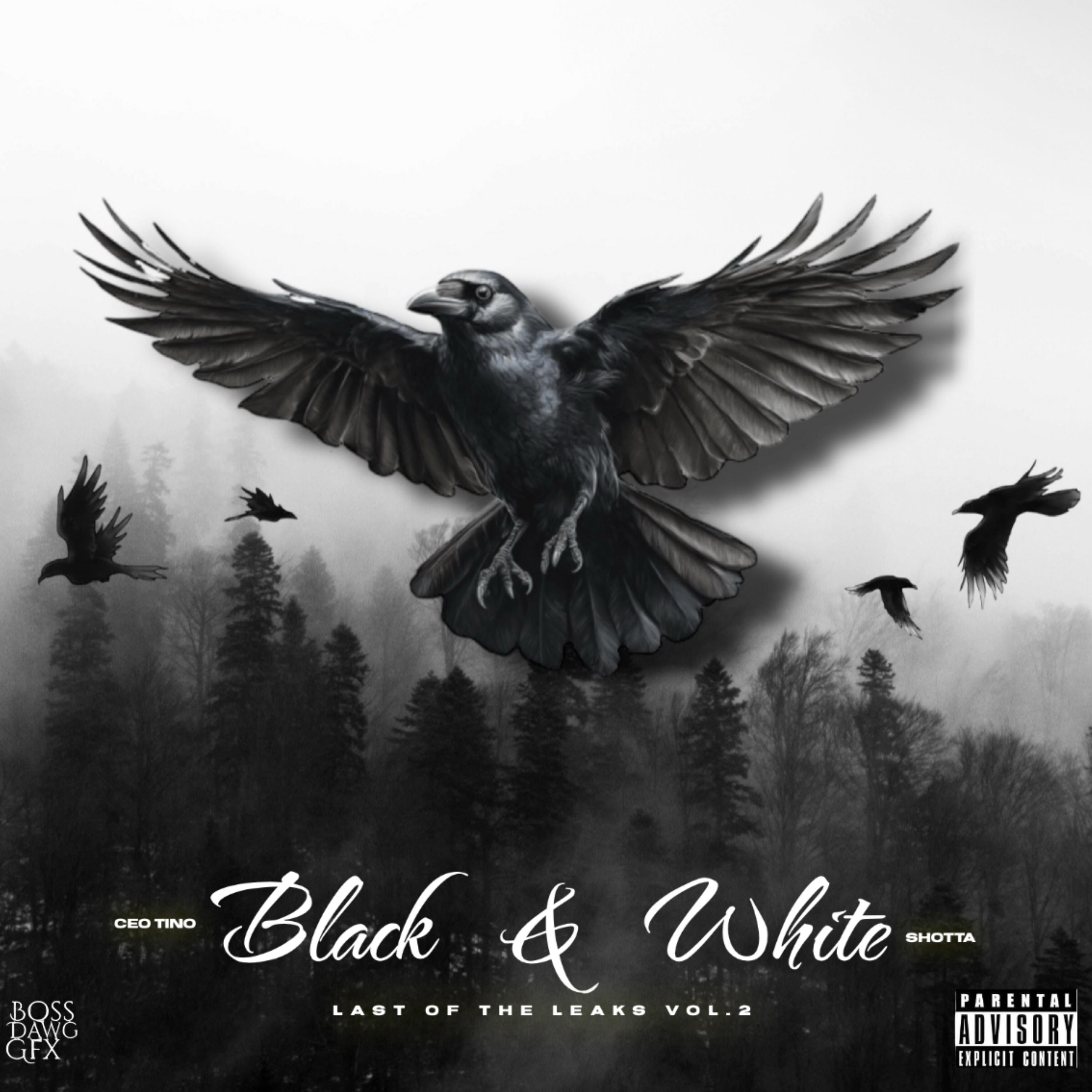 BLACK & WHITE artwork