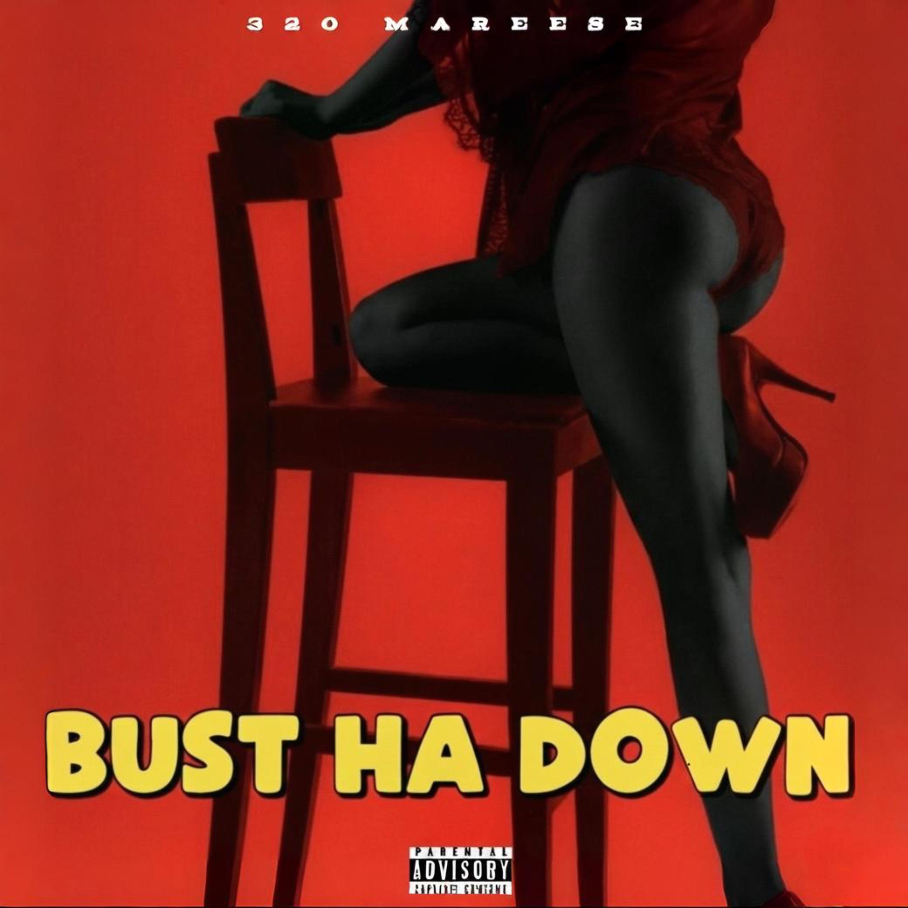 BUST HA DOWN artwork