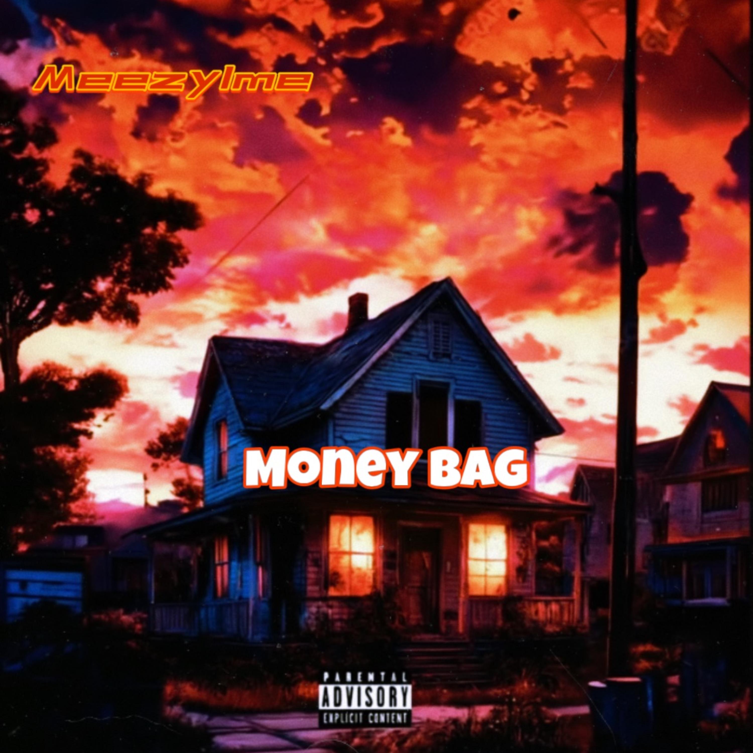 Money bag artwork