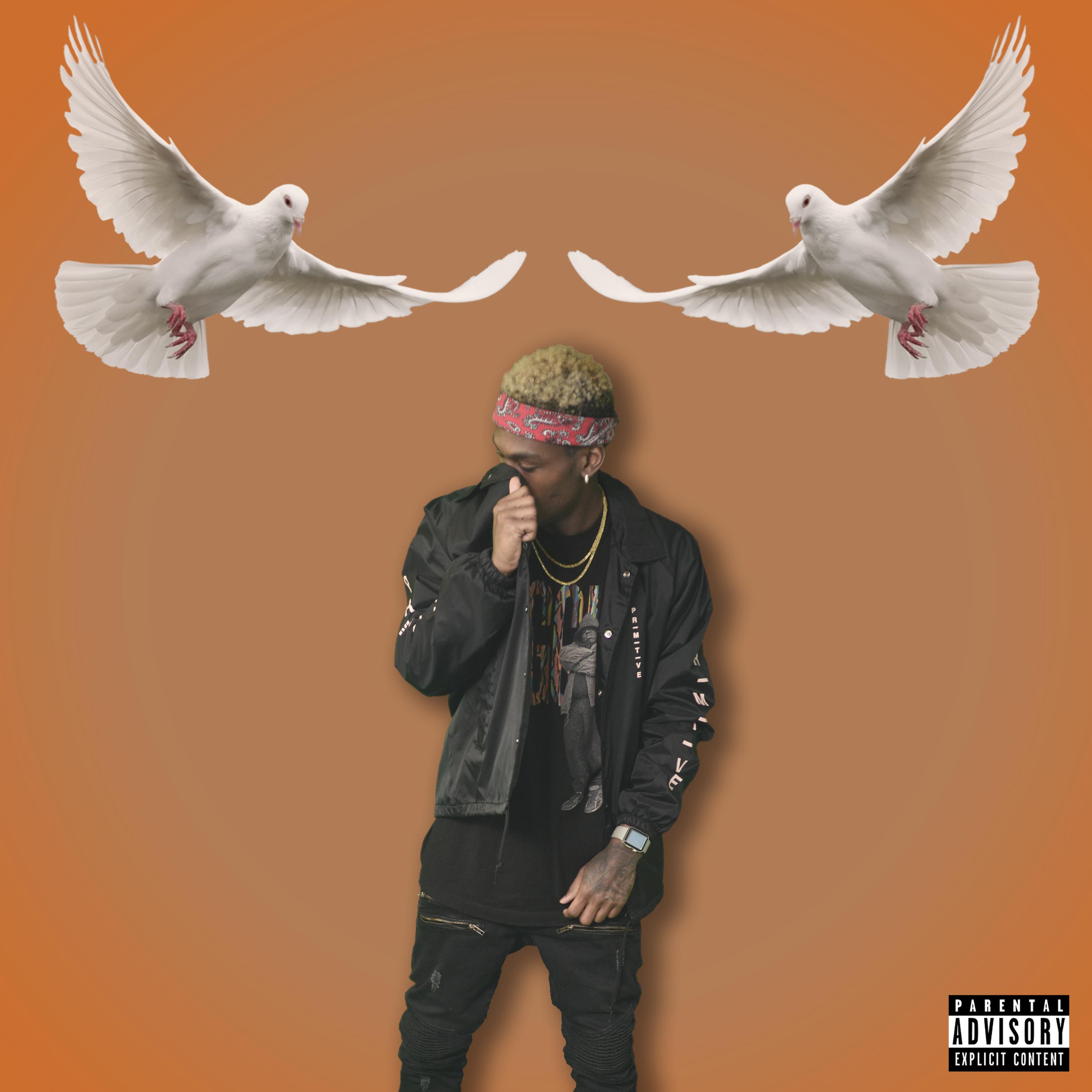Hard in the Paint by Zimmy Moon cover art