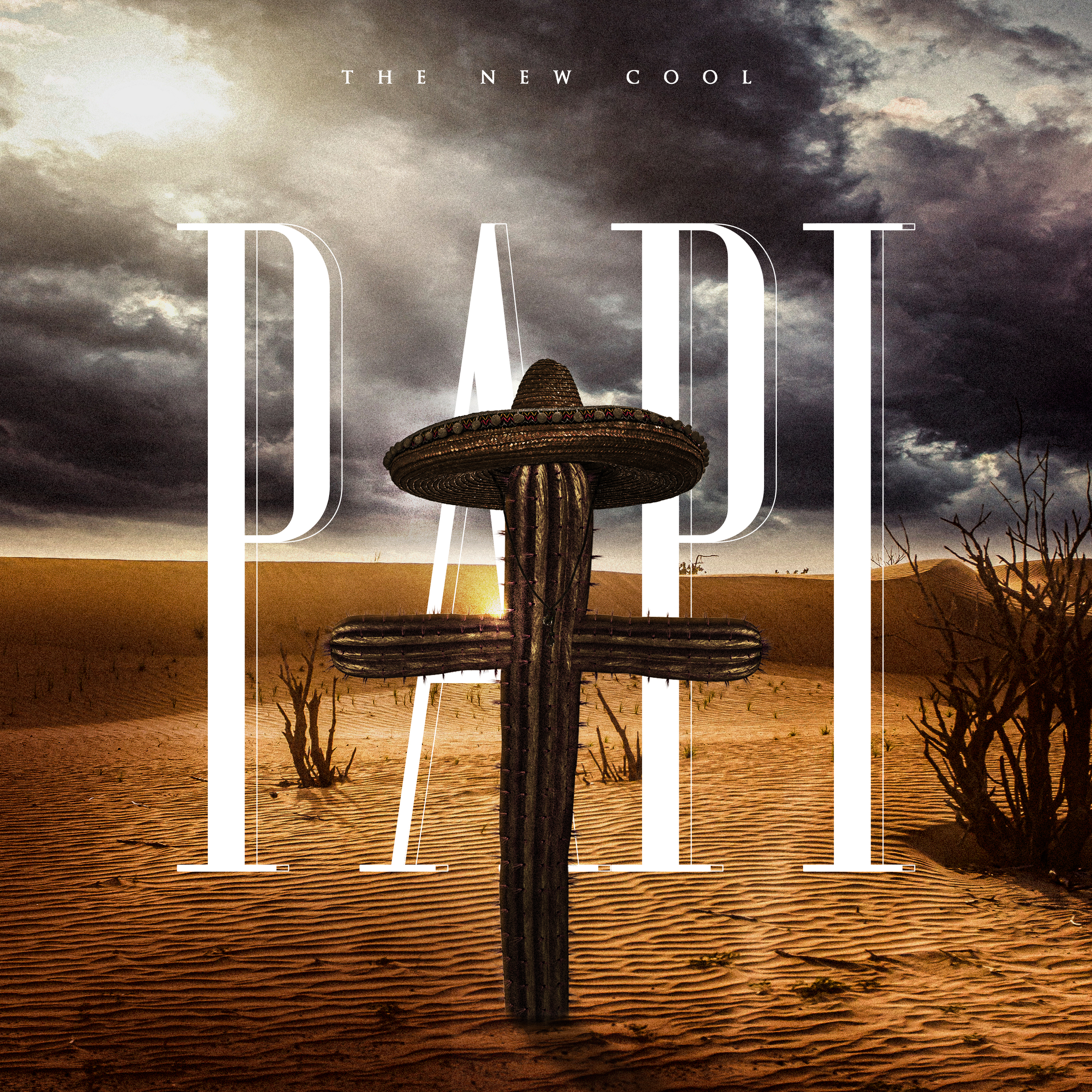 PAPI artwork