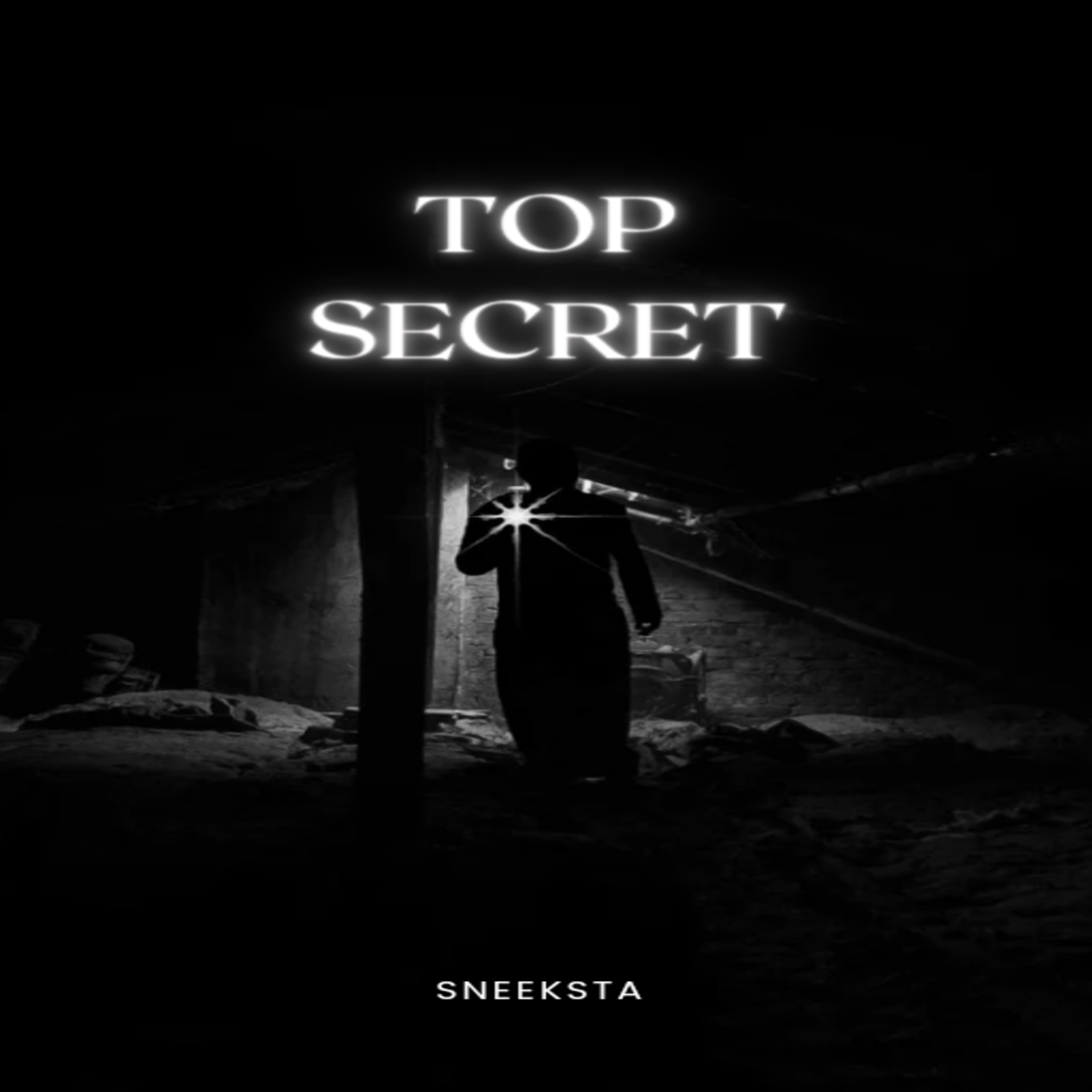 Top Secret artwork