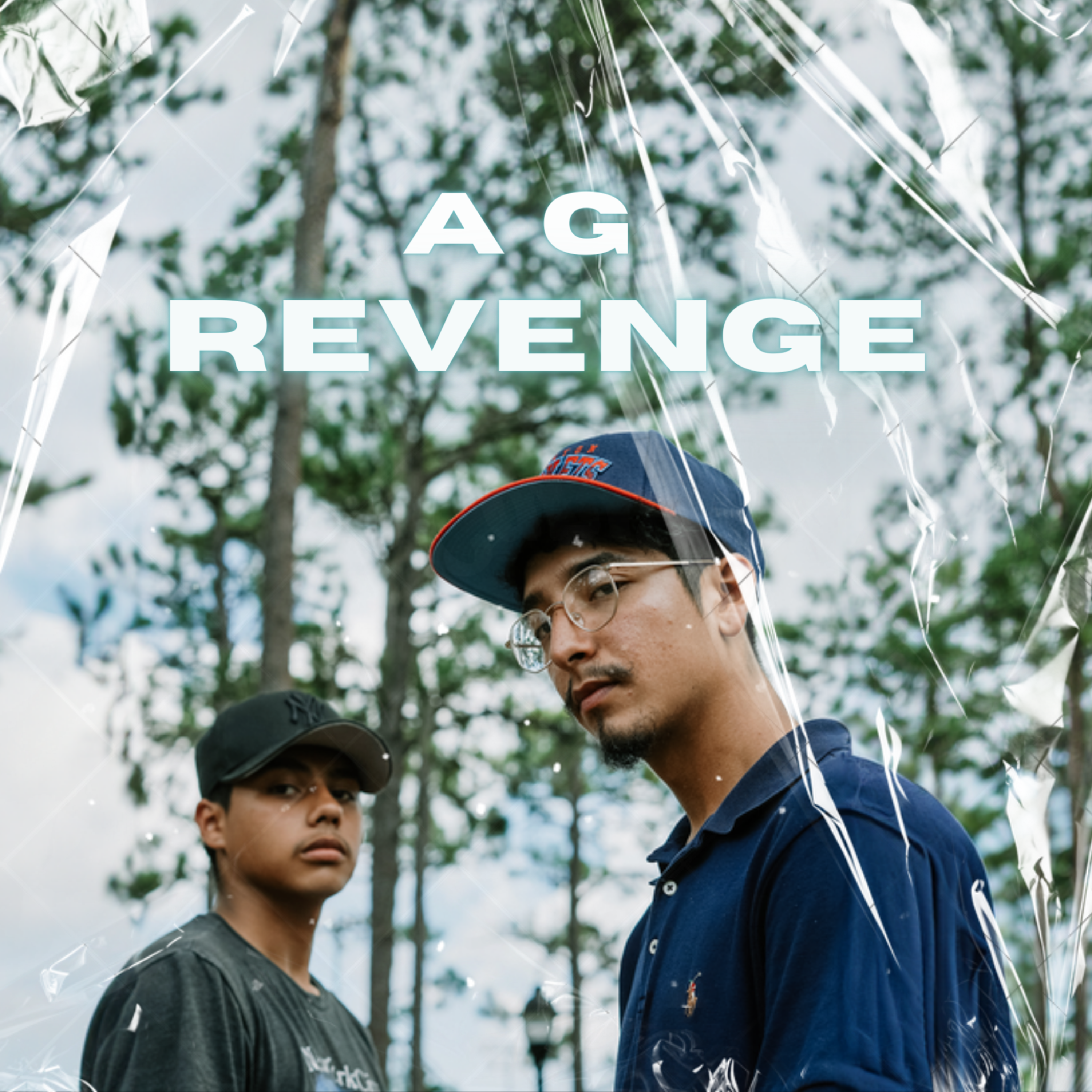 Revenge artwork