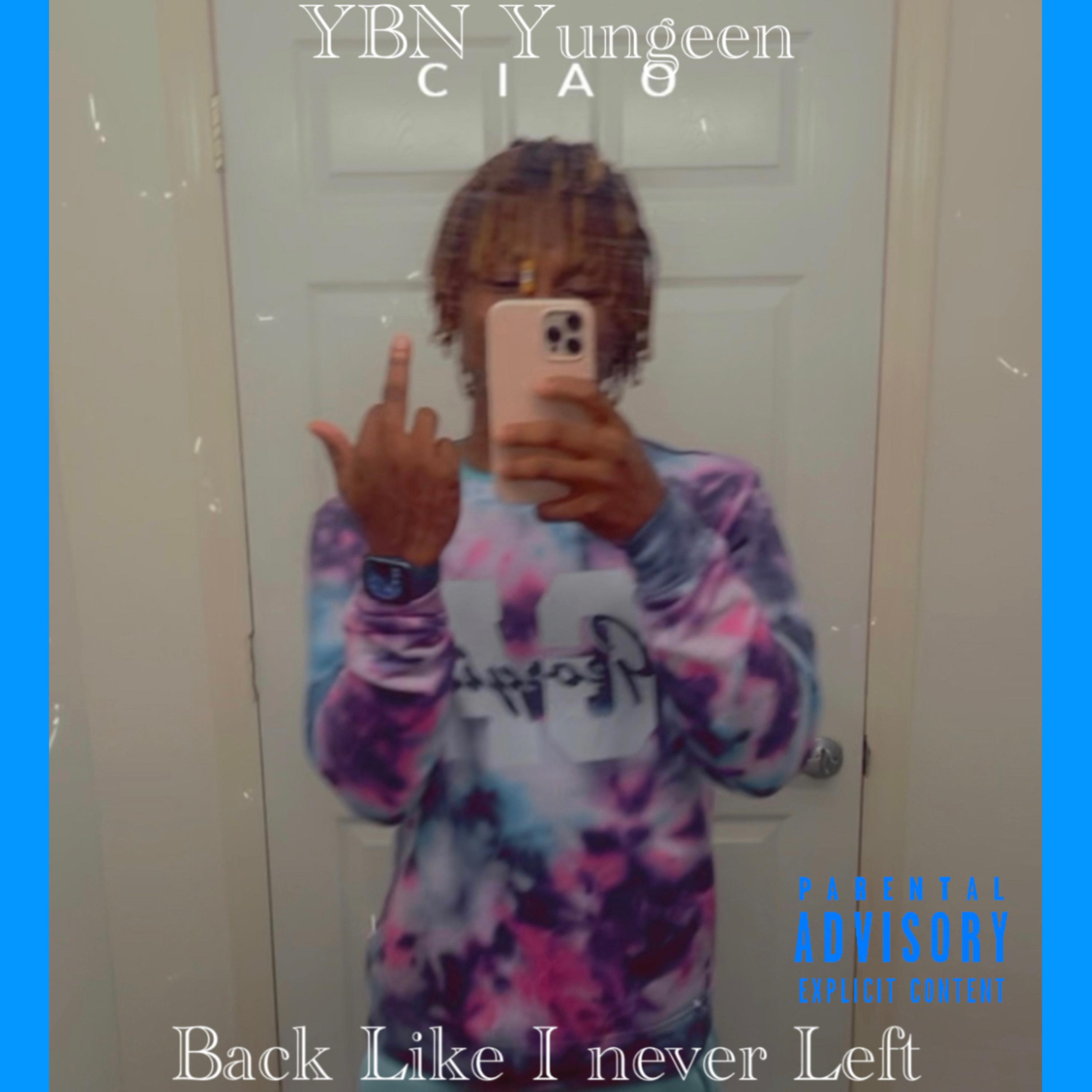 Back Like I Never Left by YBN Yungeen cover art