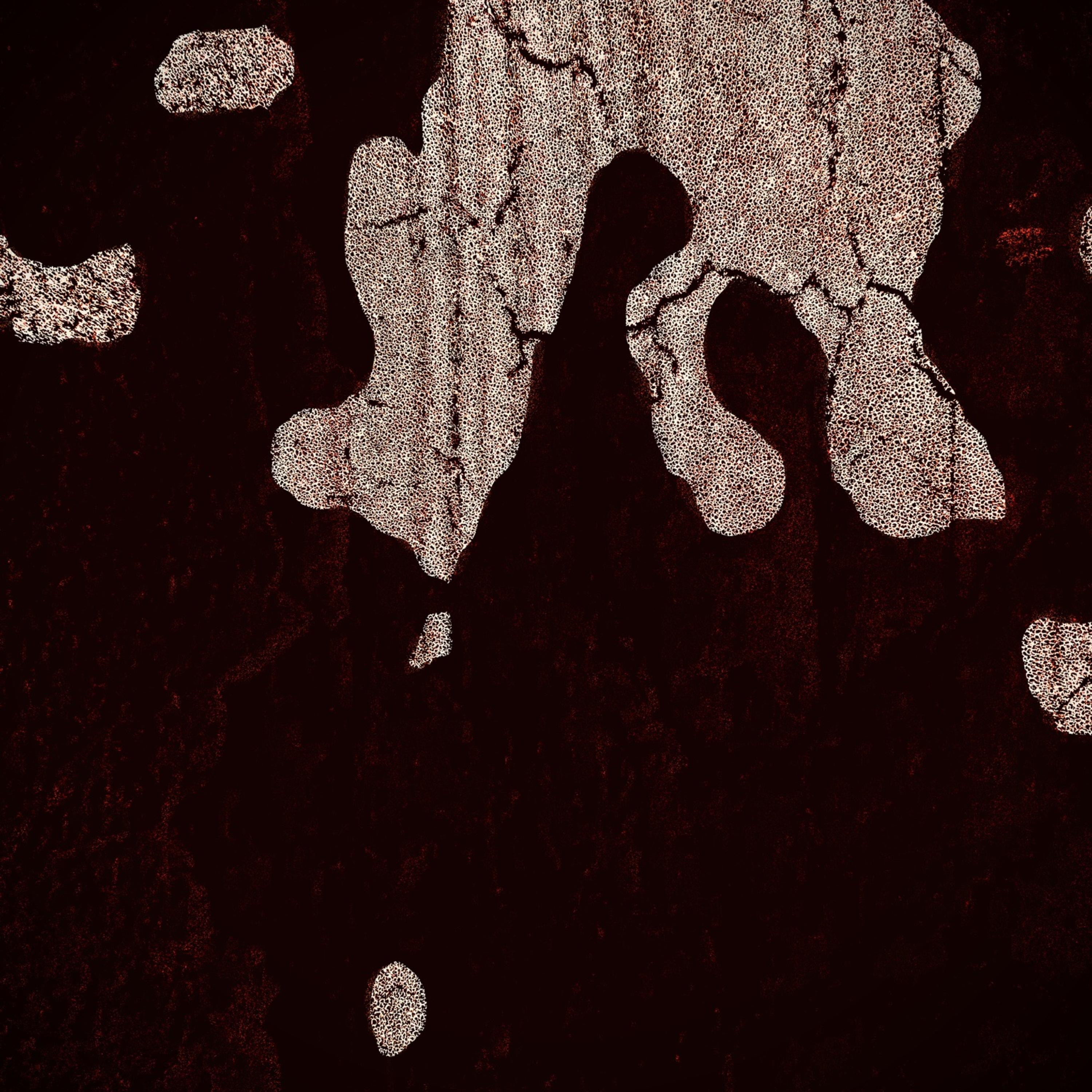 Fractal Scraps artwork