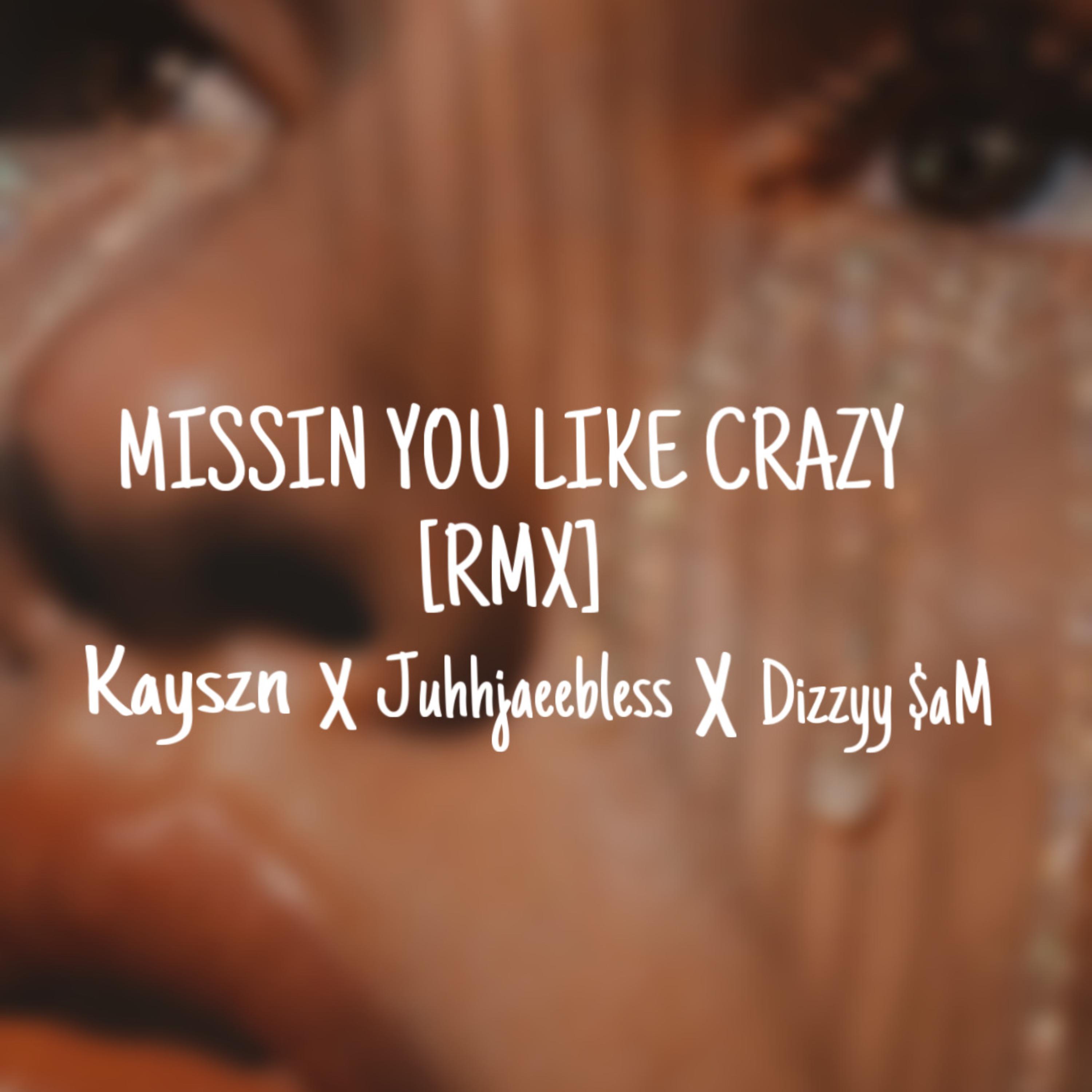 Missin You Like Crazy [RMX] artwork