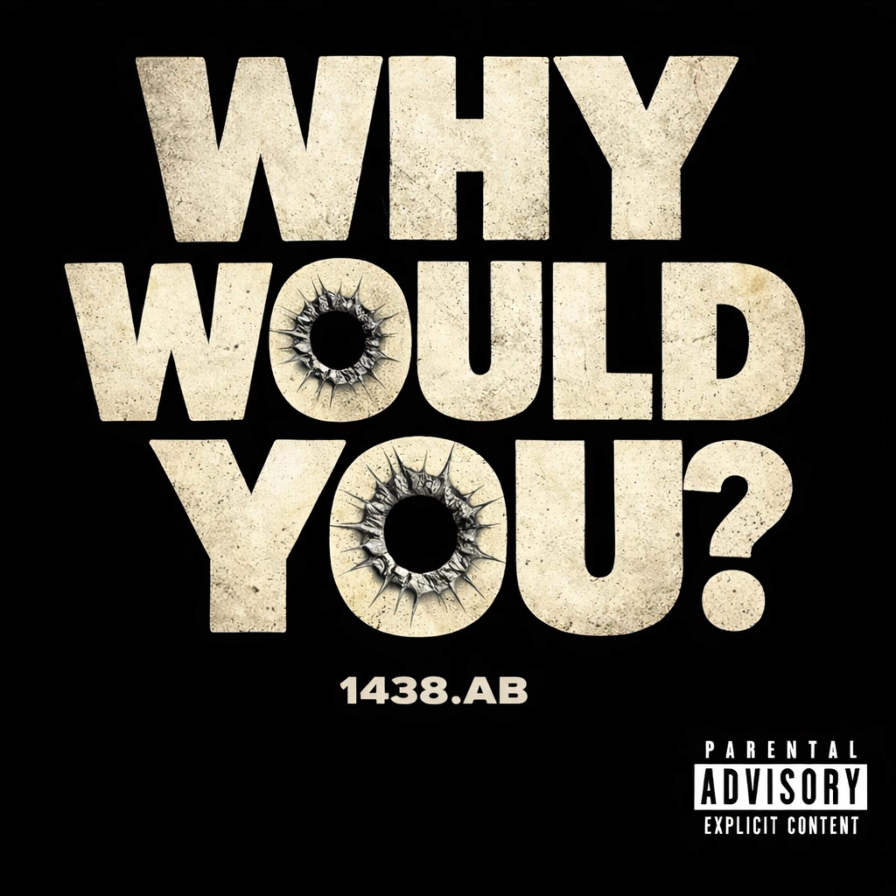 Why Would you? artwork