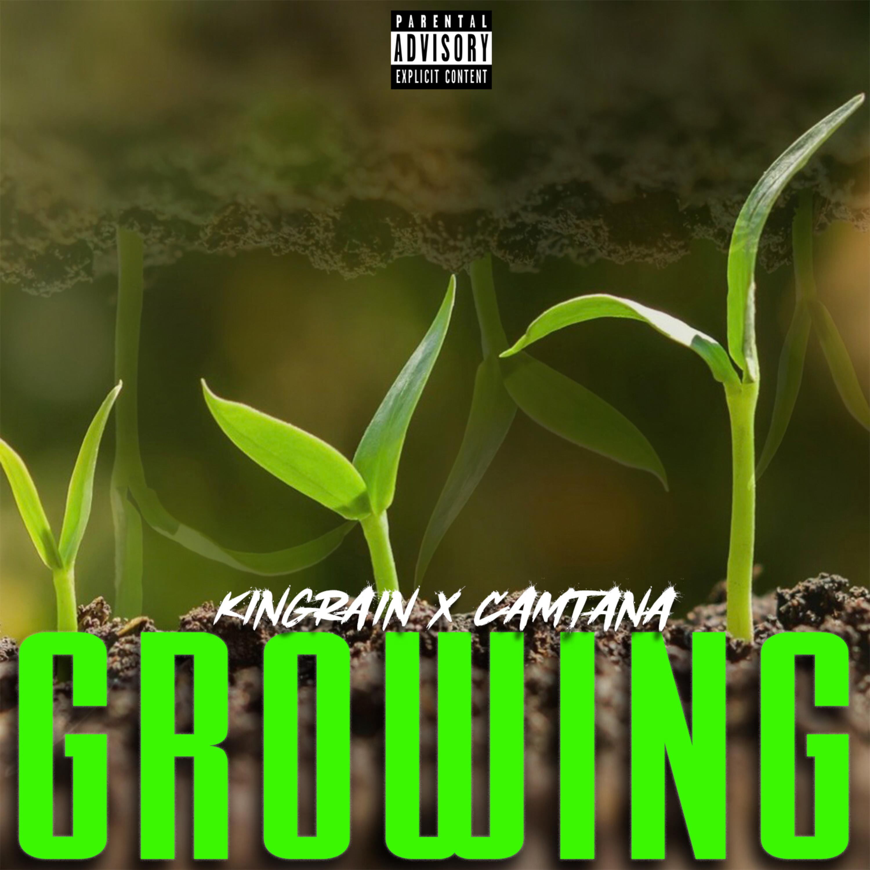 Growing artwork