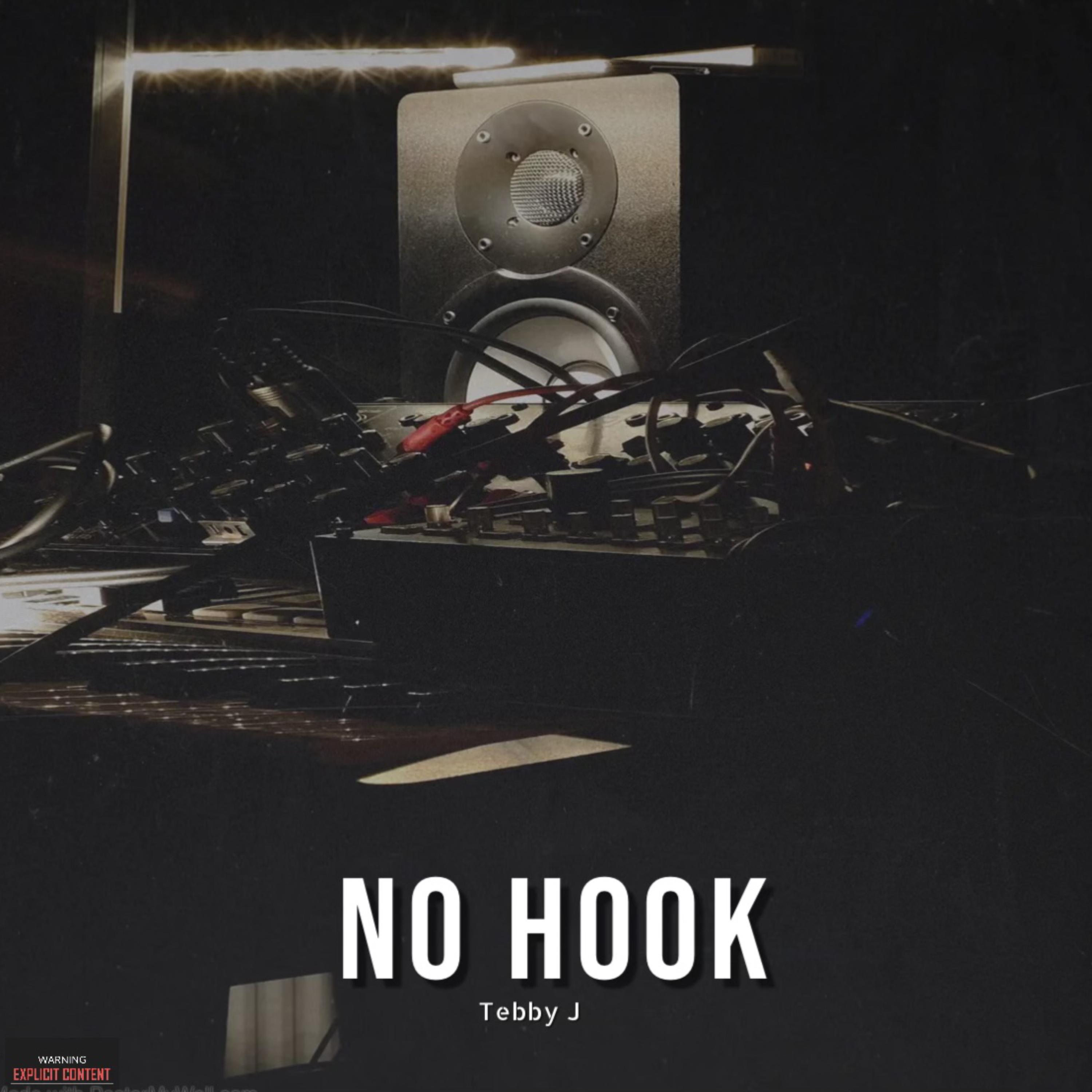 No Hook by Tebby j cover art
