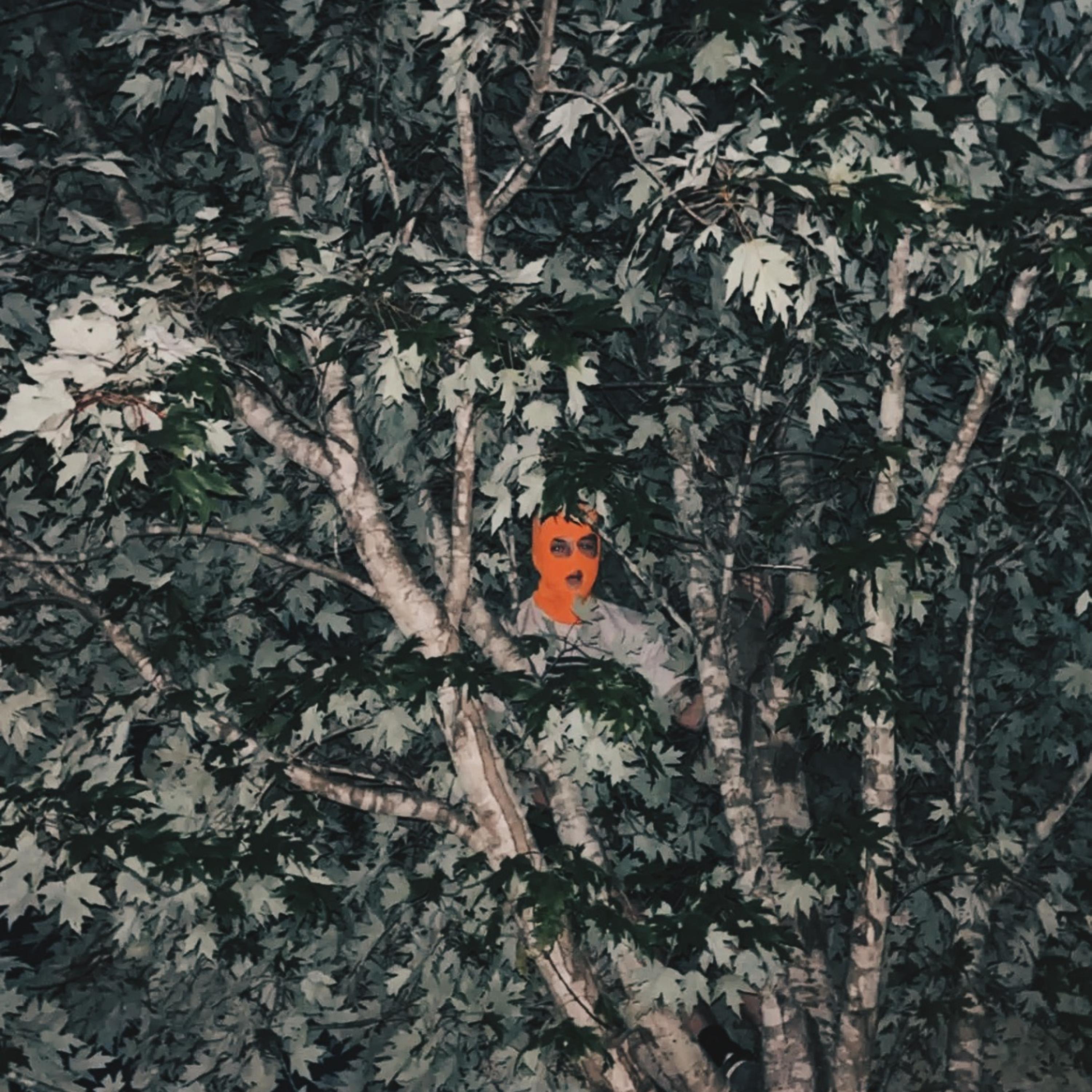 know artwork