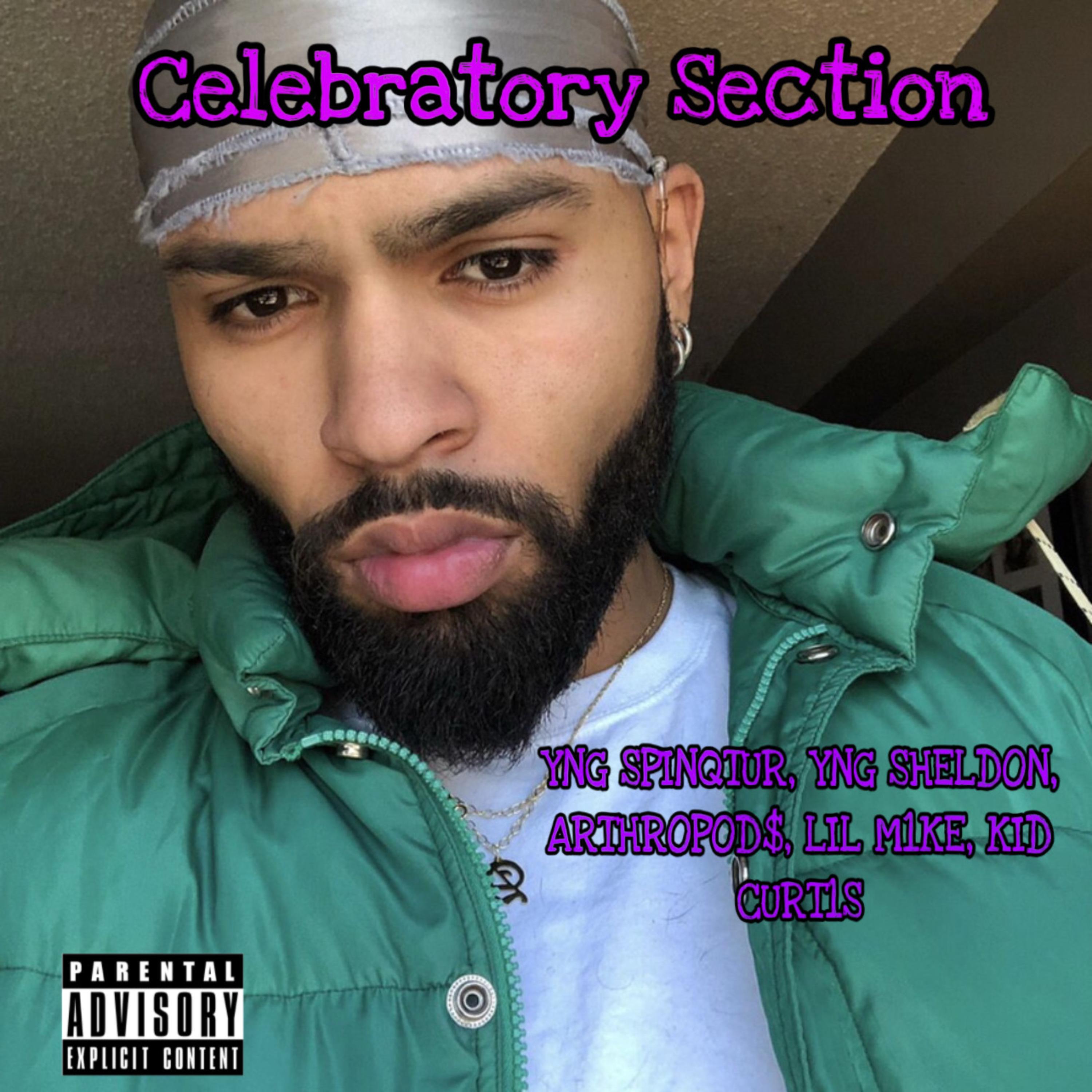 CELEBRATORY SECTION artwork