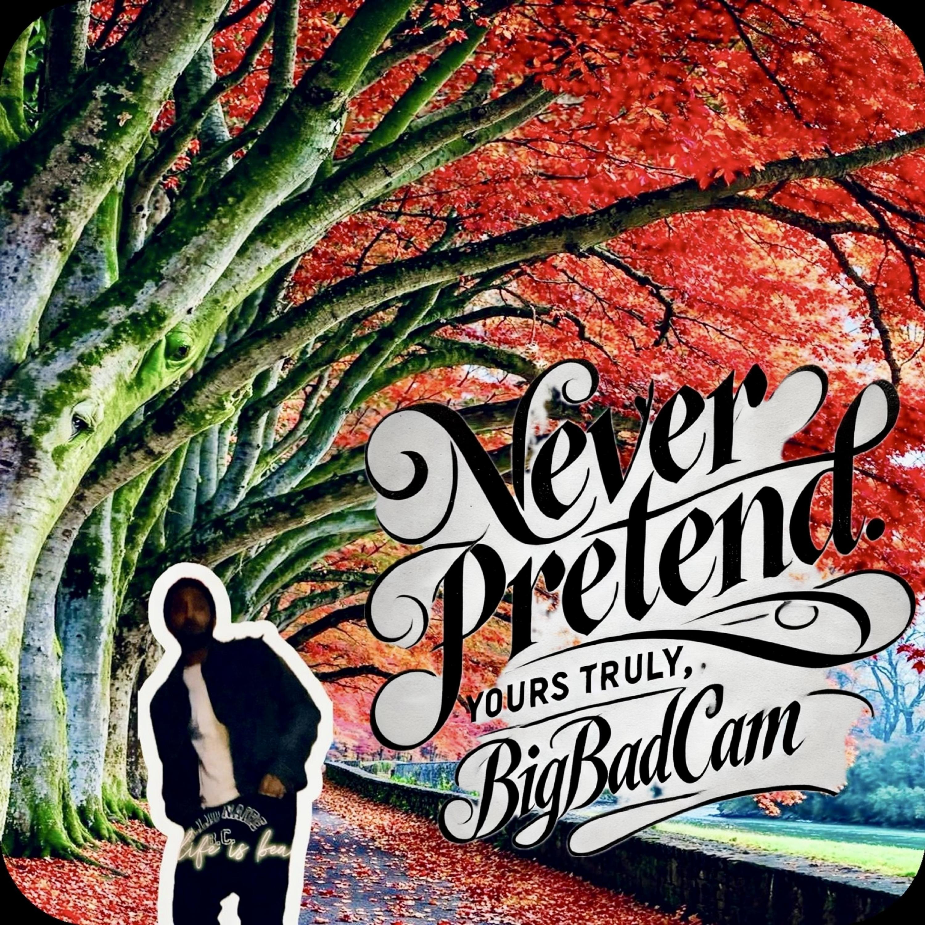 NEVER PRETEND artwork