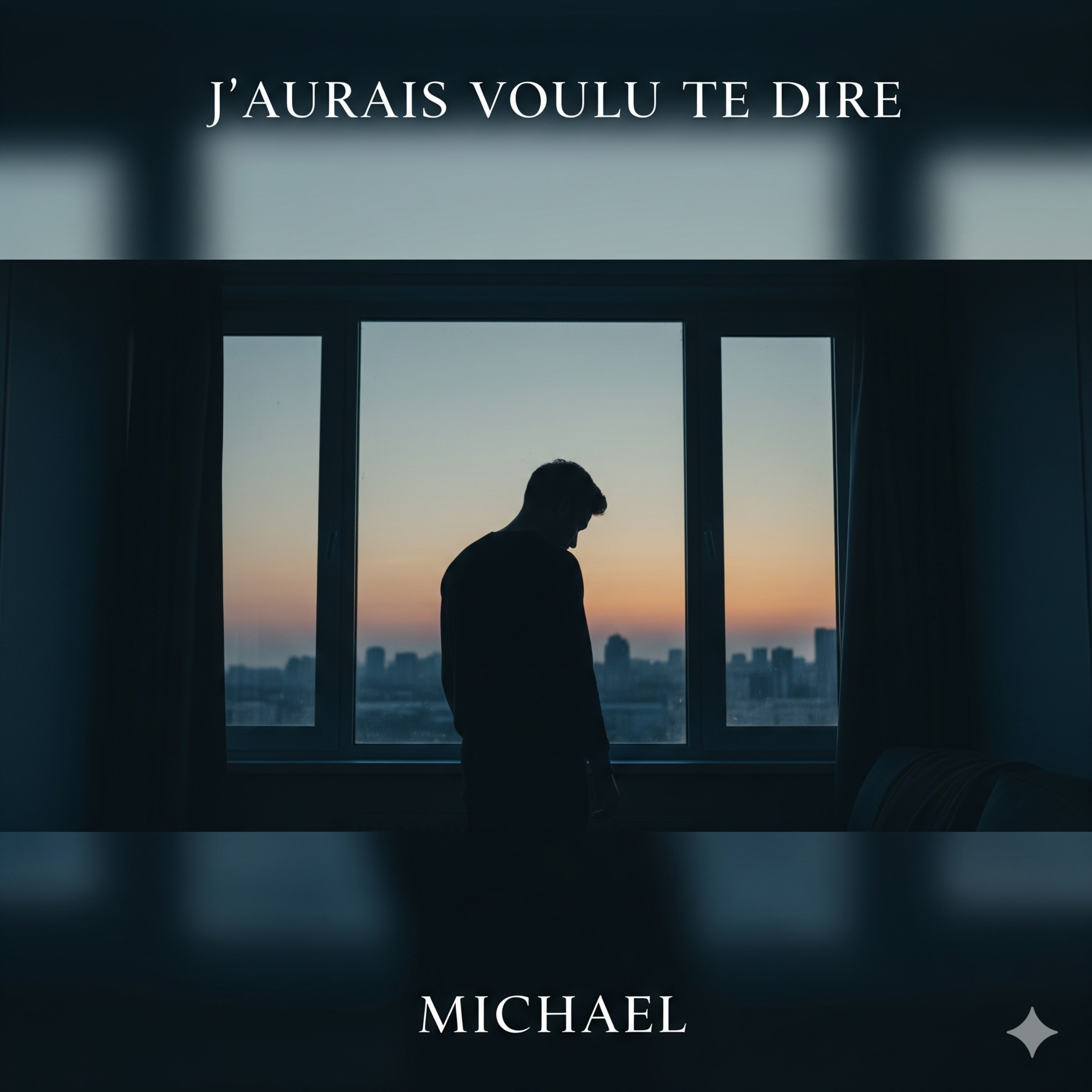 J'aurais voulu te dire artwork