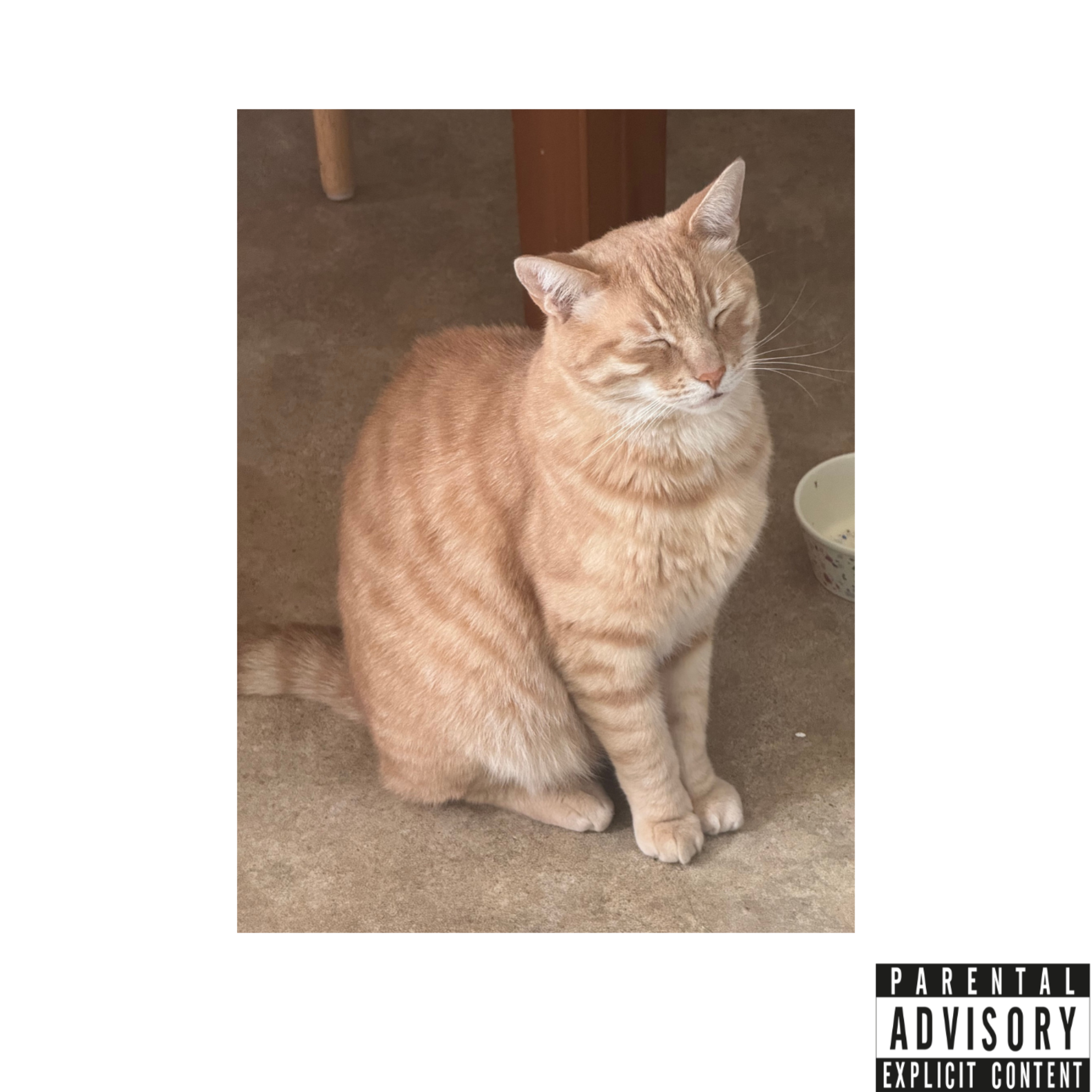 dreams of success artwork