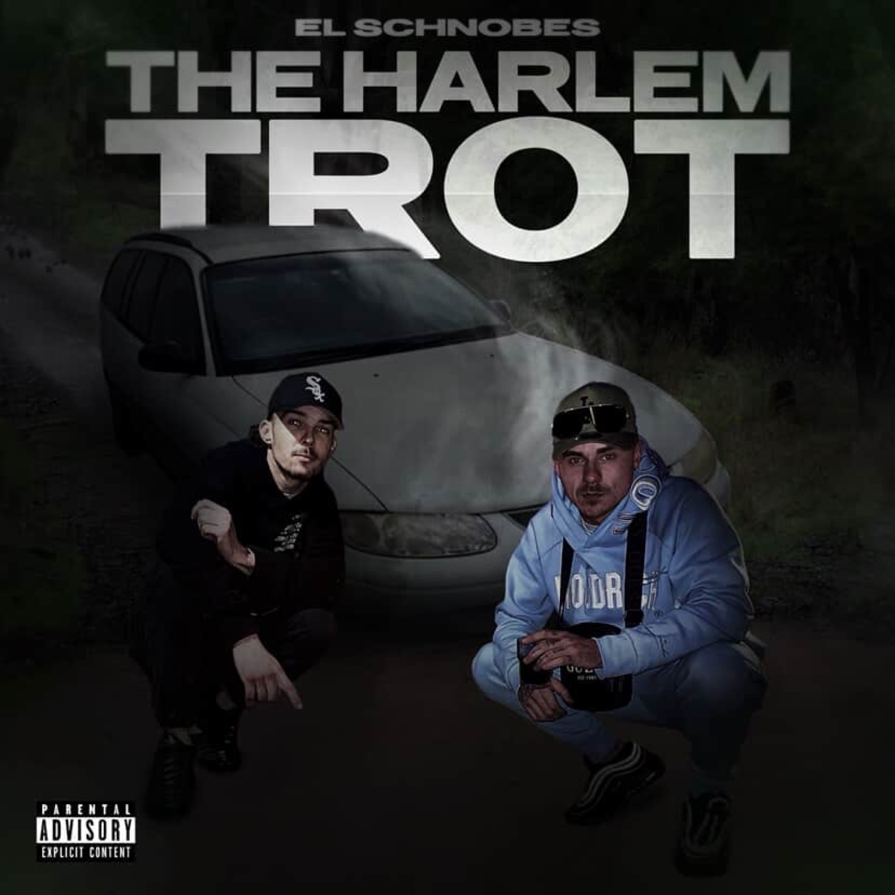 The Harlem Trot artwork