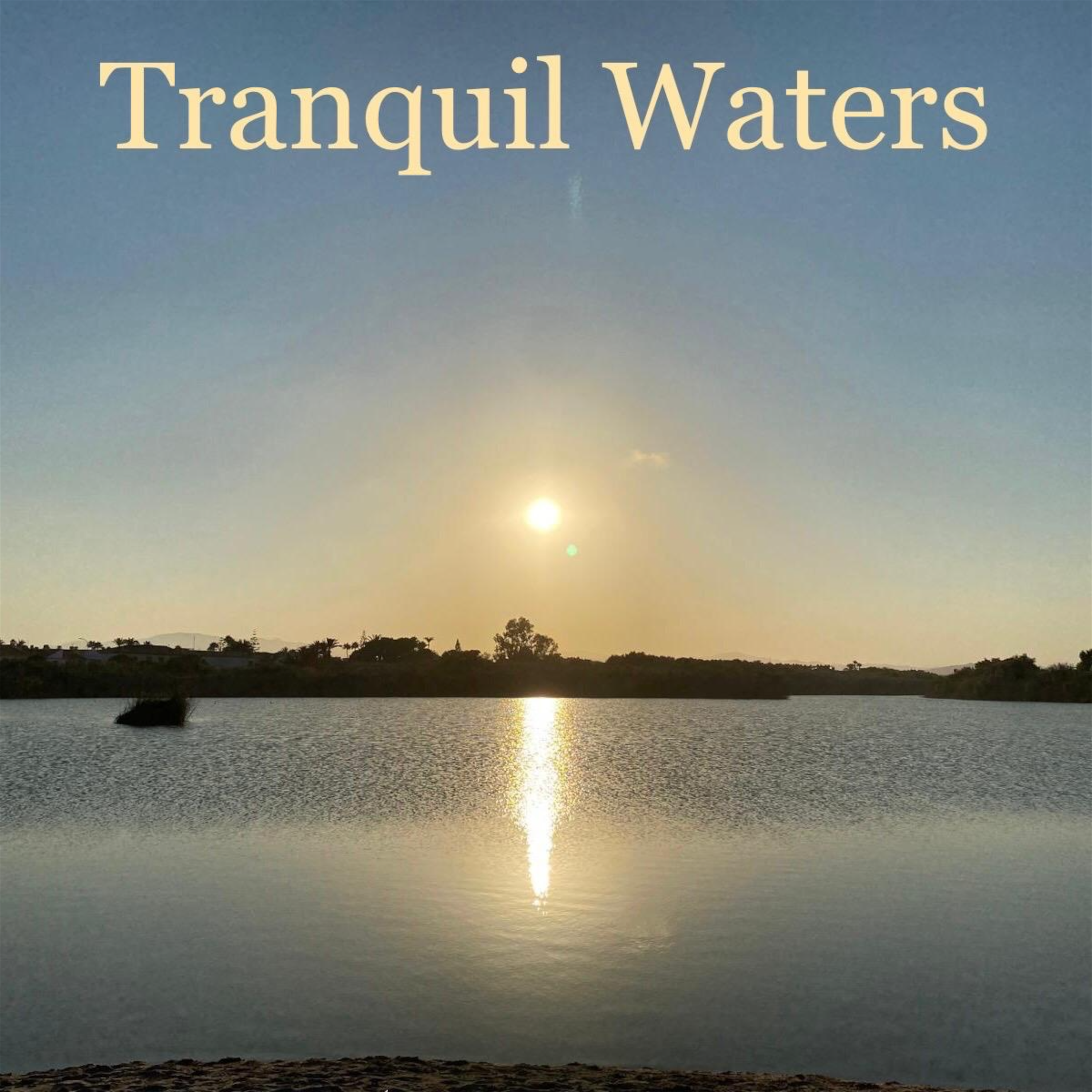 Tranquil Waters artwork