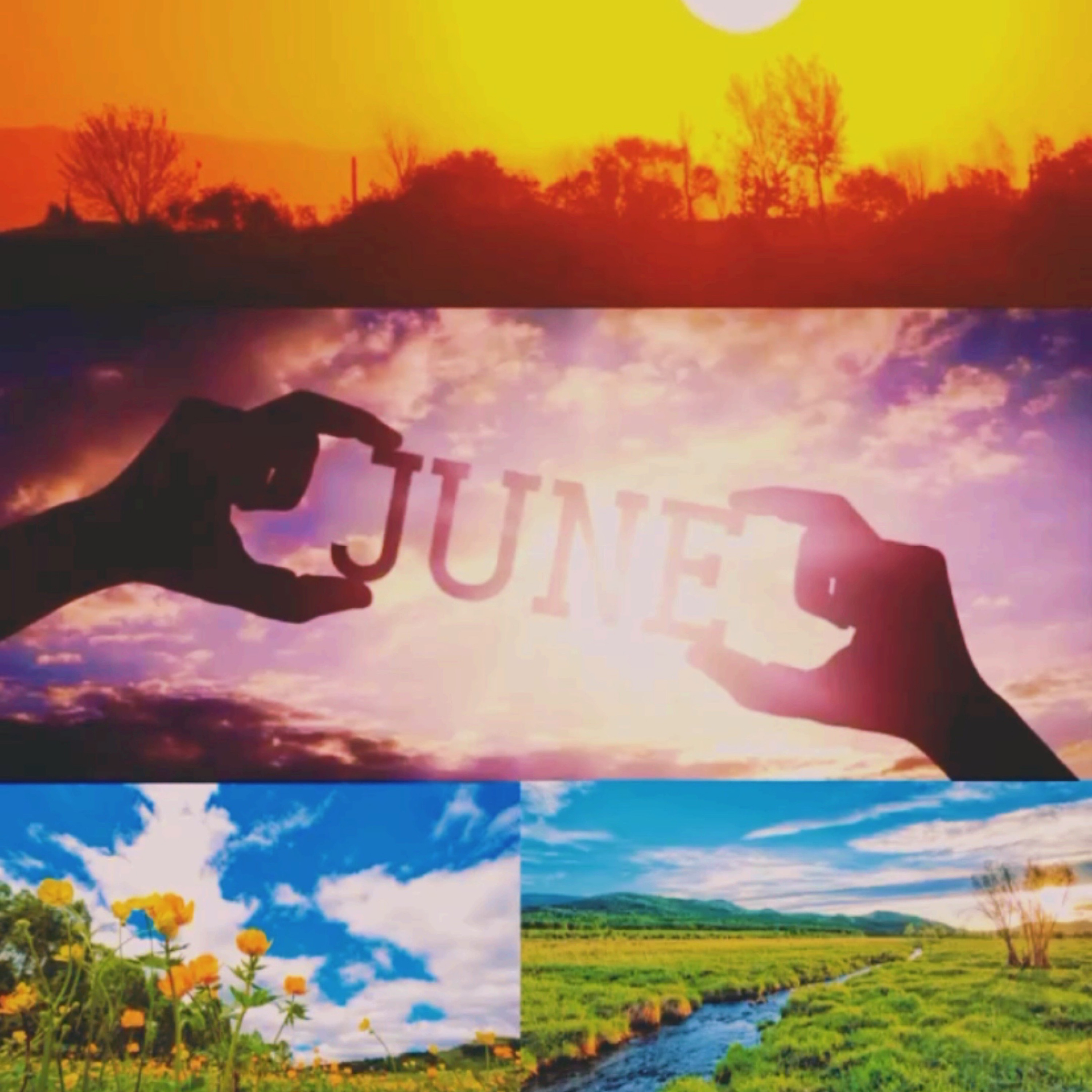June artwork
