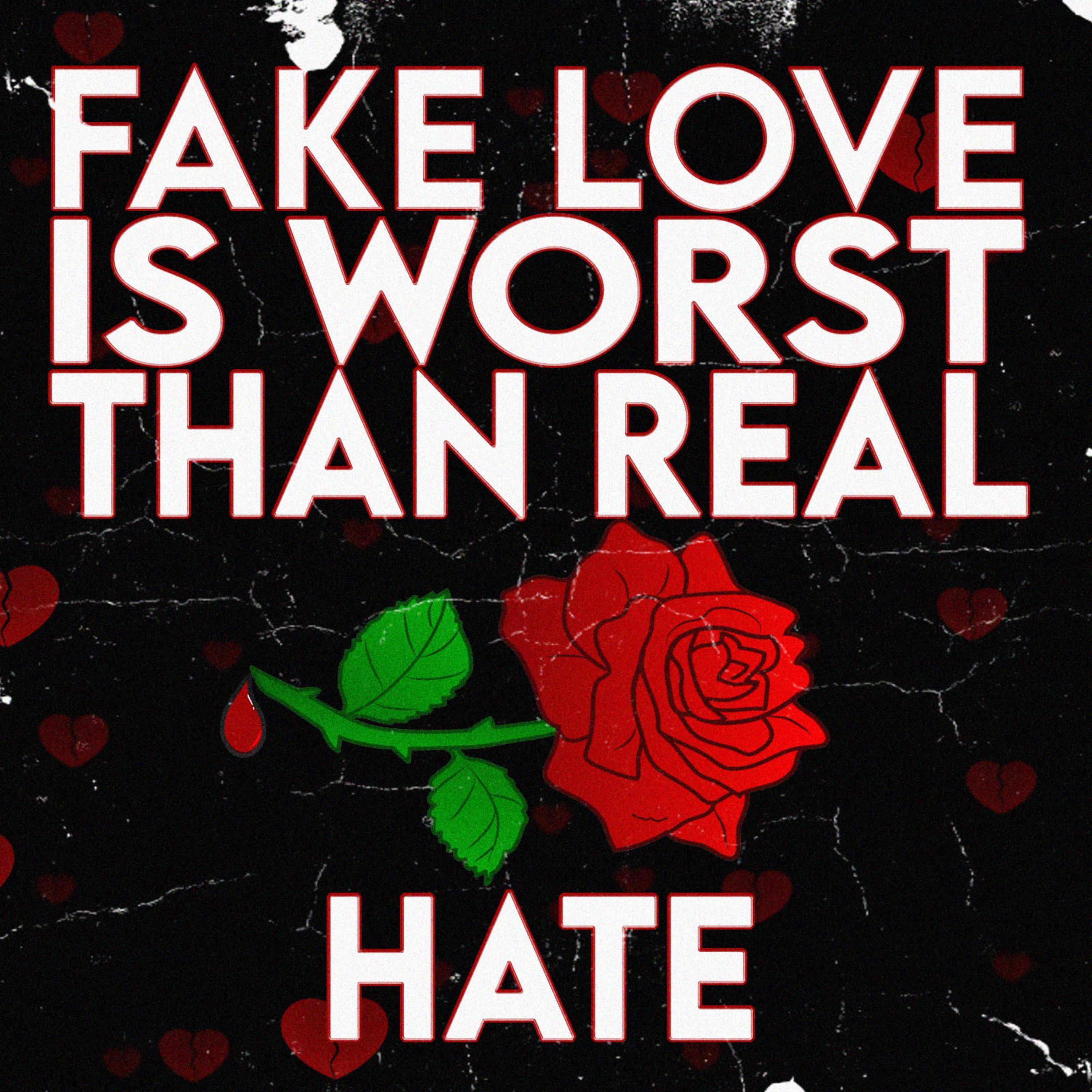 Fake Love Is Worst Than Real Hate artwork