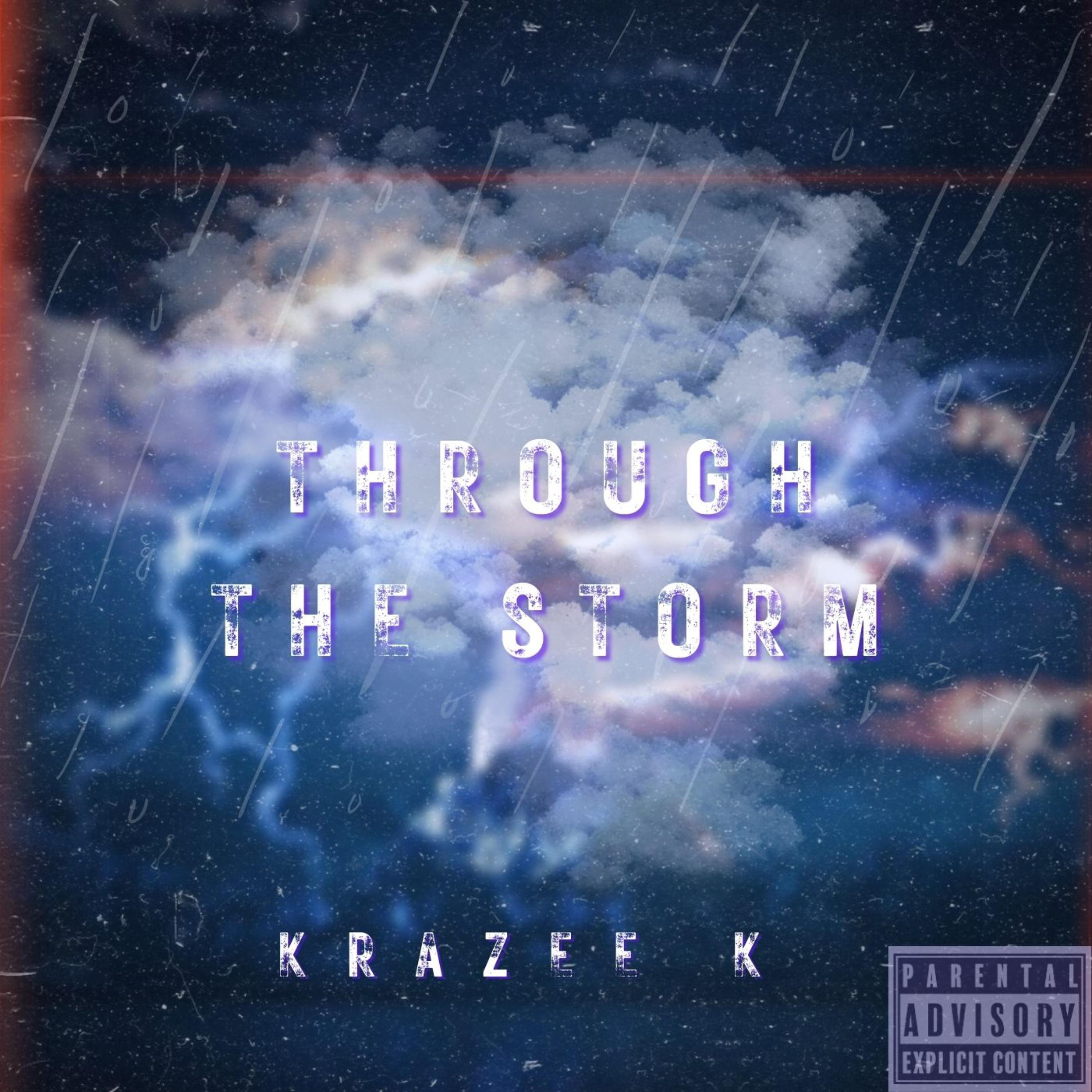 THROUGH THE STORM artwork